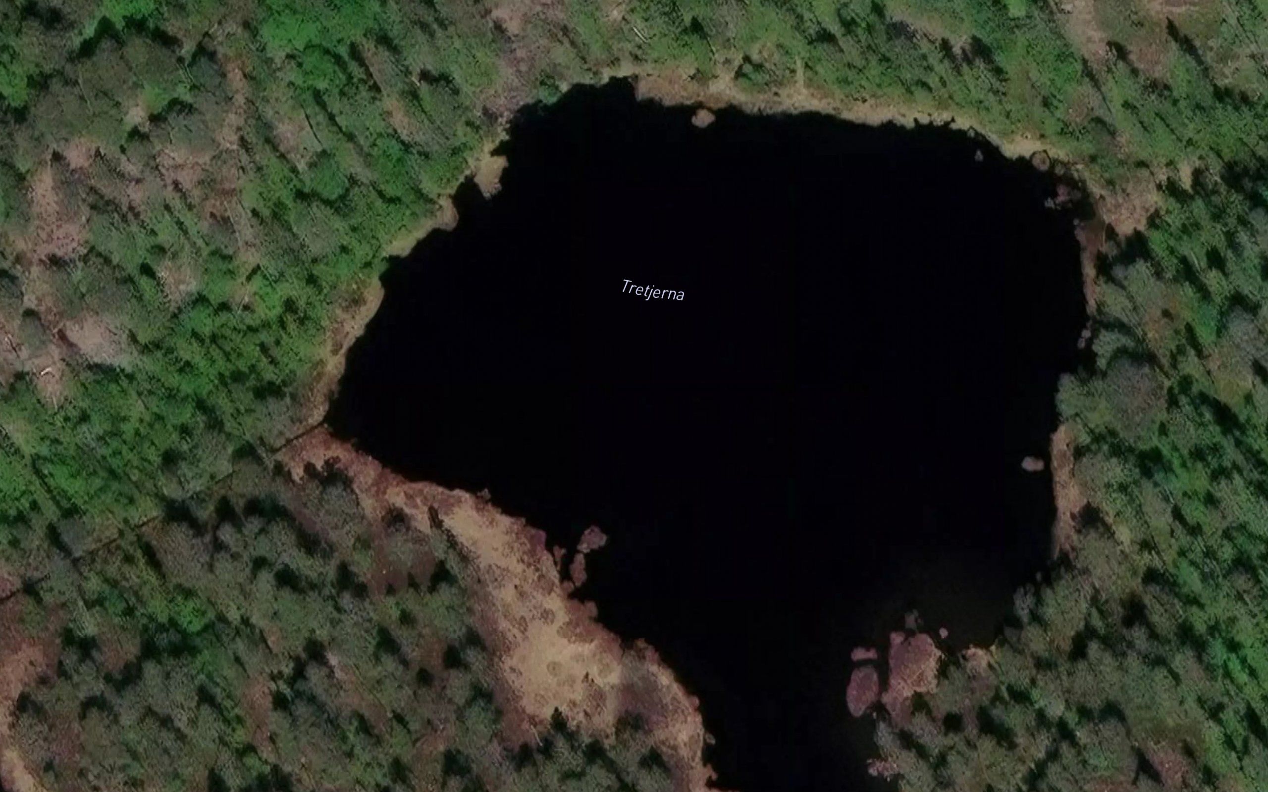 Tretjerna
