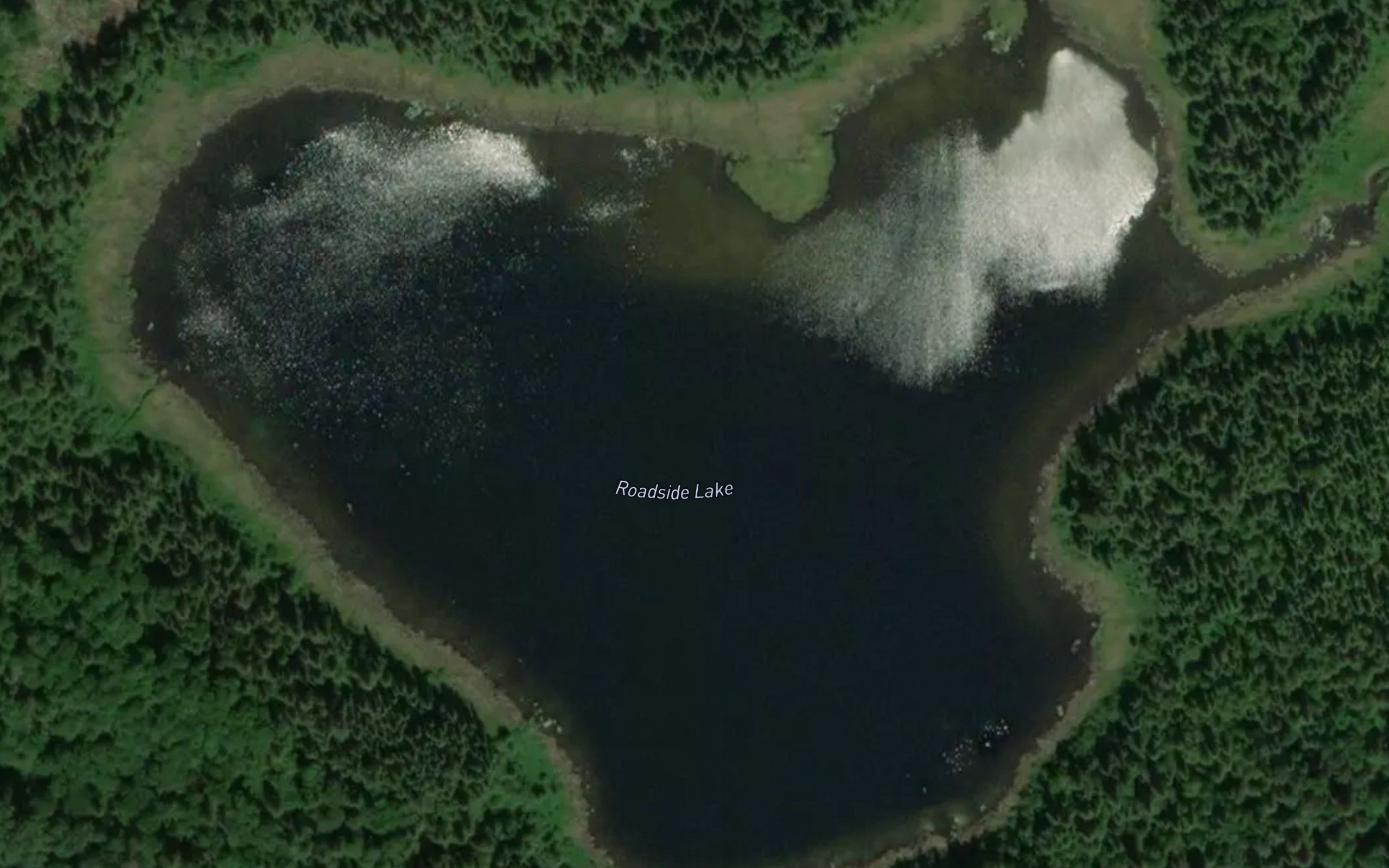 Roadside Lake