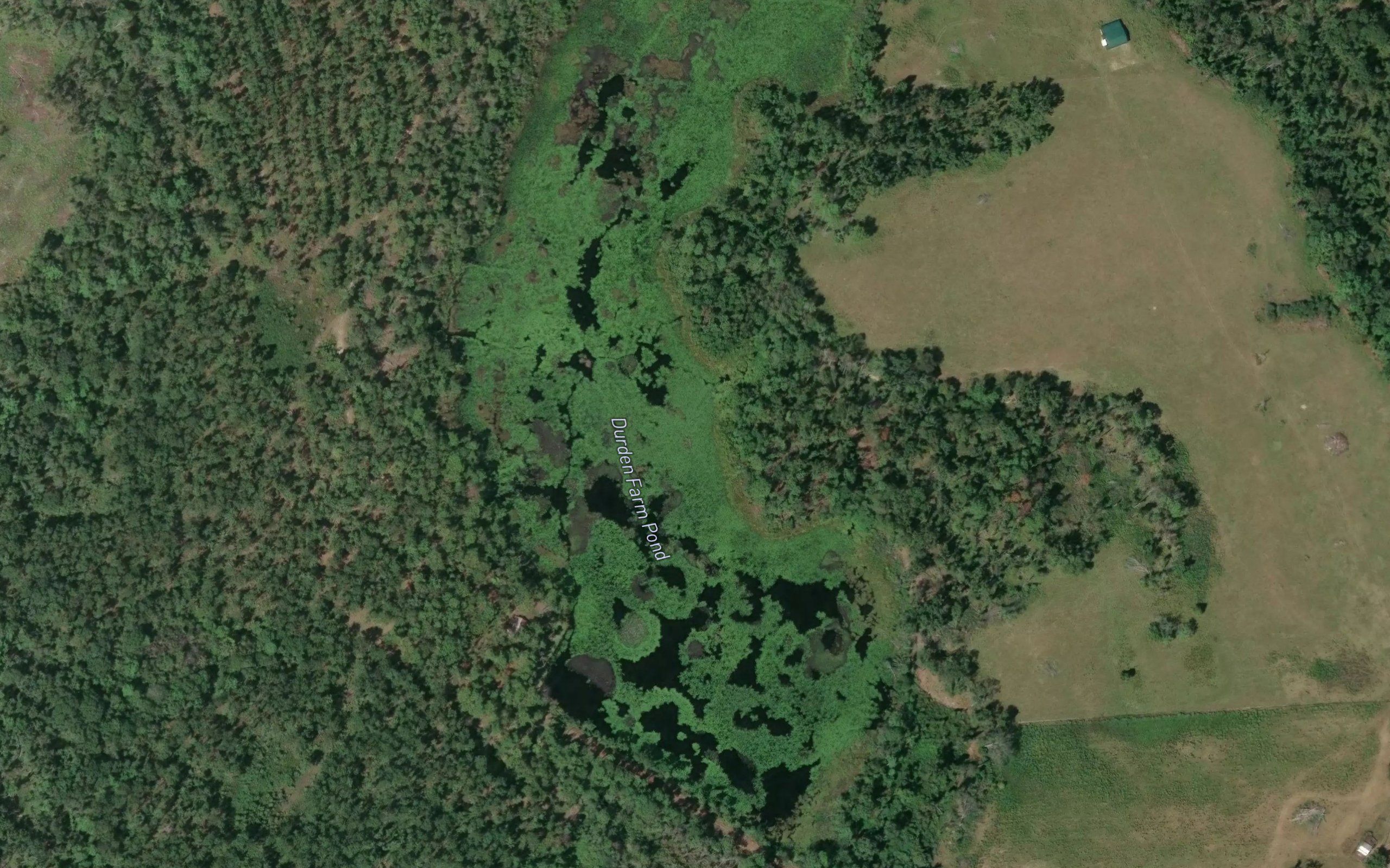 Durden Farm Pond
