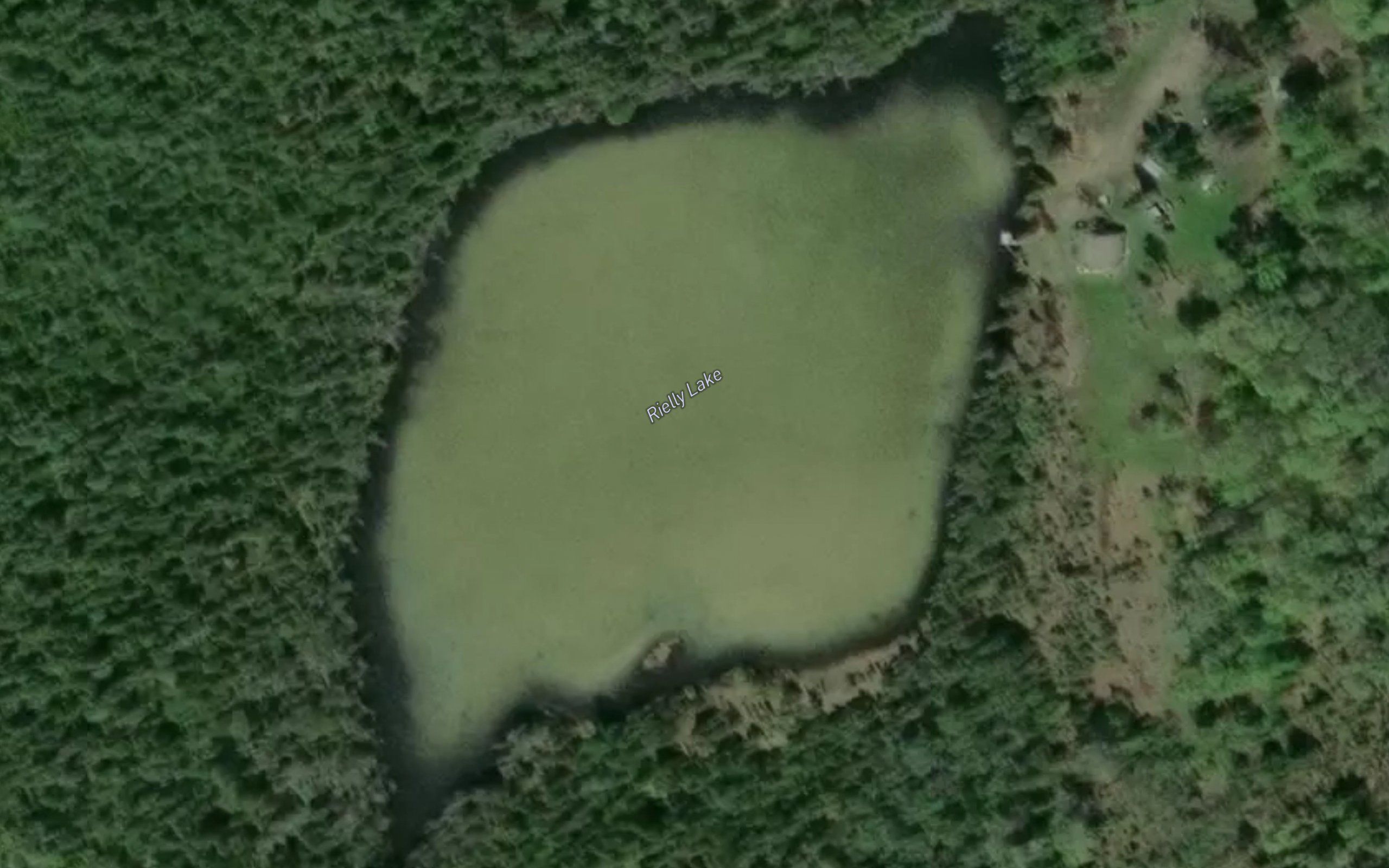 Rielly Lake