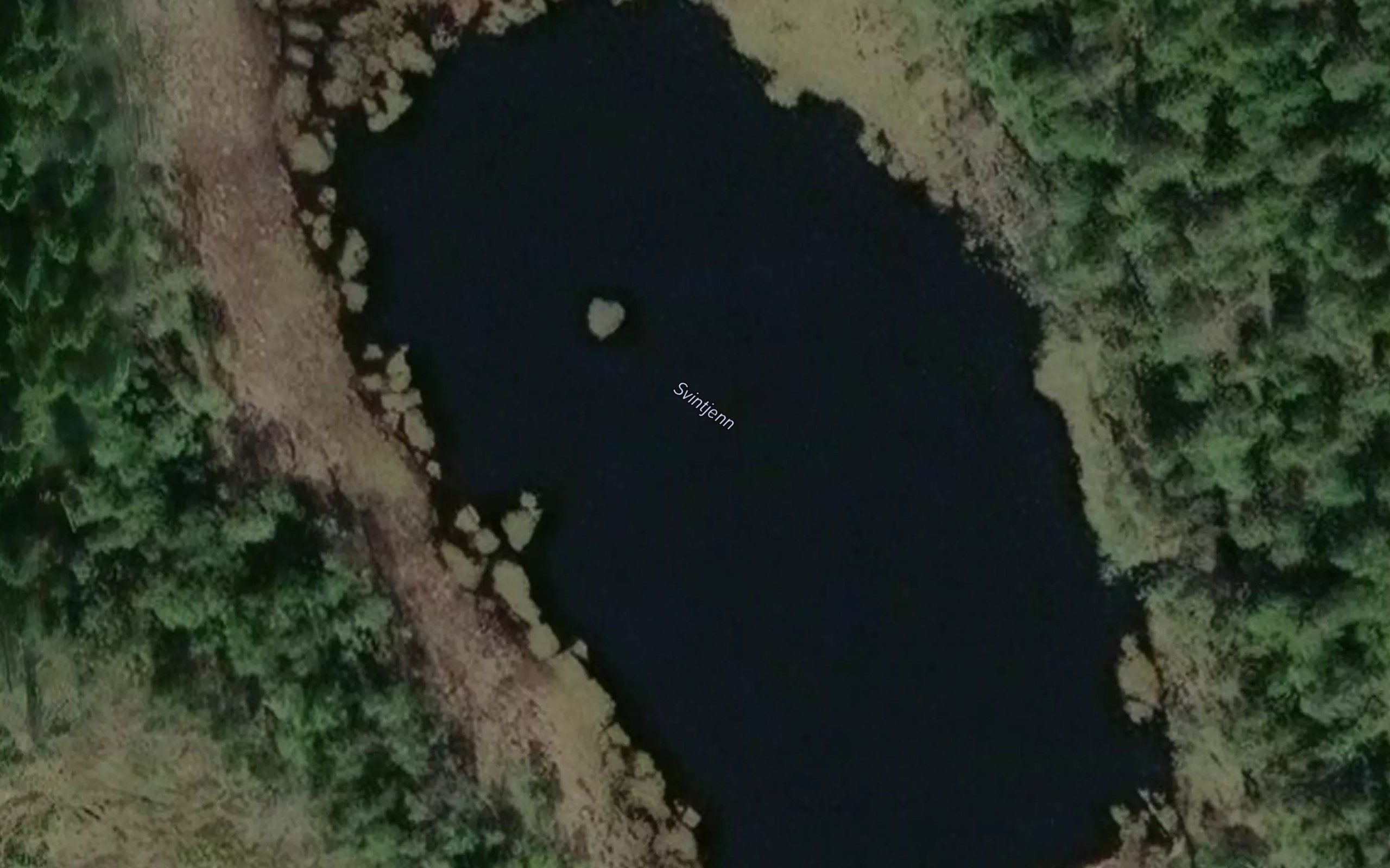 Svintjern