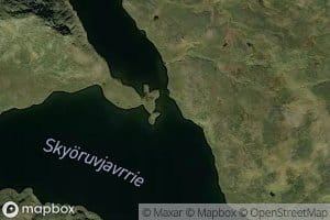 Skoruvjaure