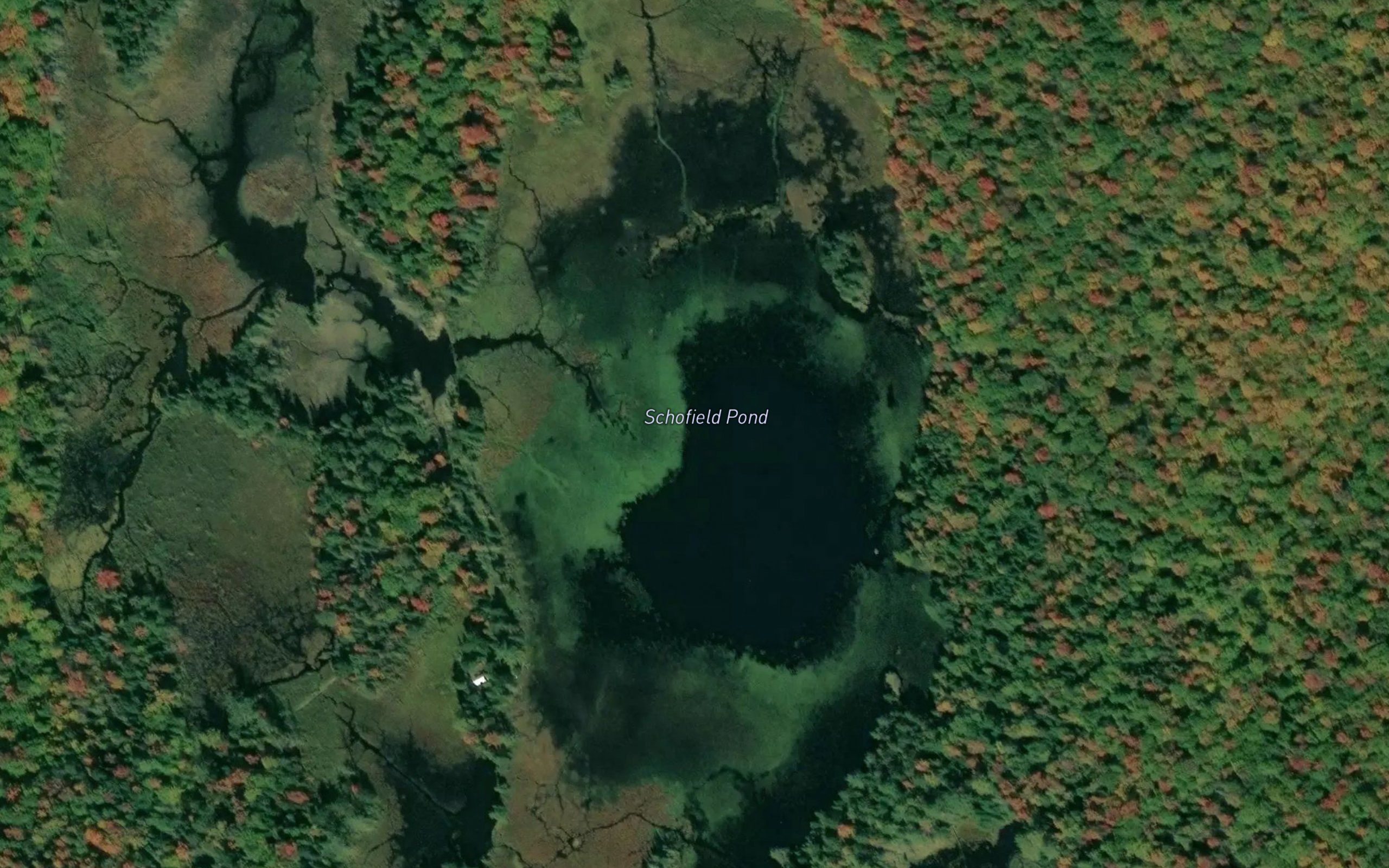 Schofield Pond