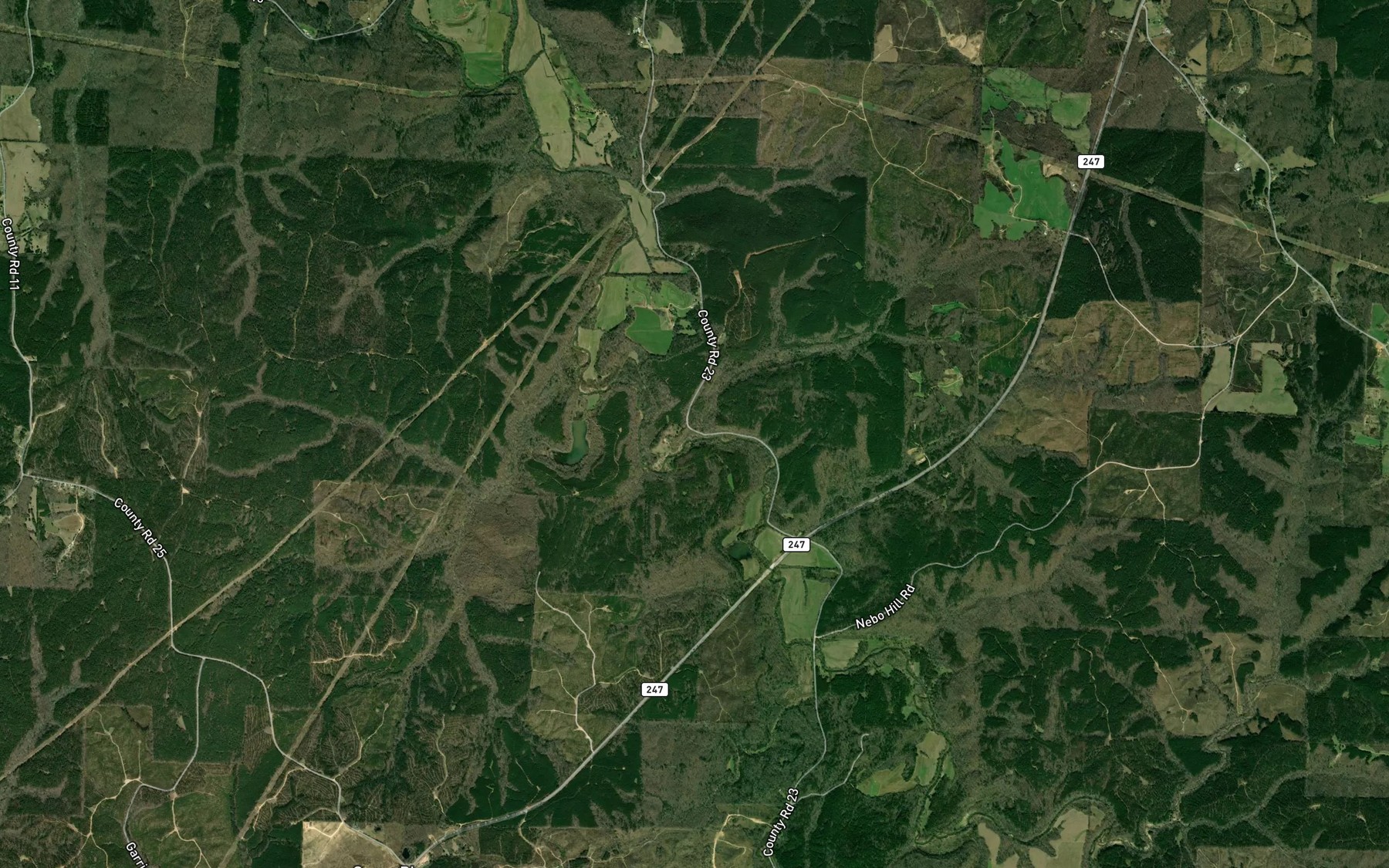 Satellite map of the Lick Branch