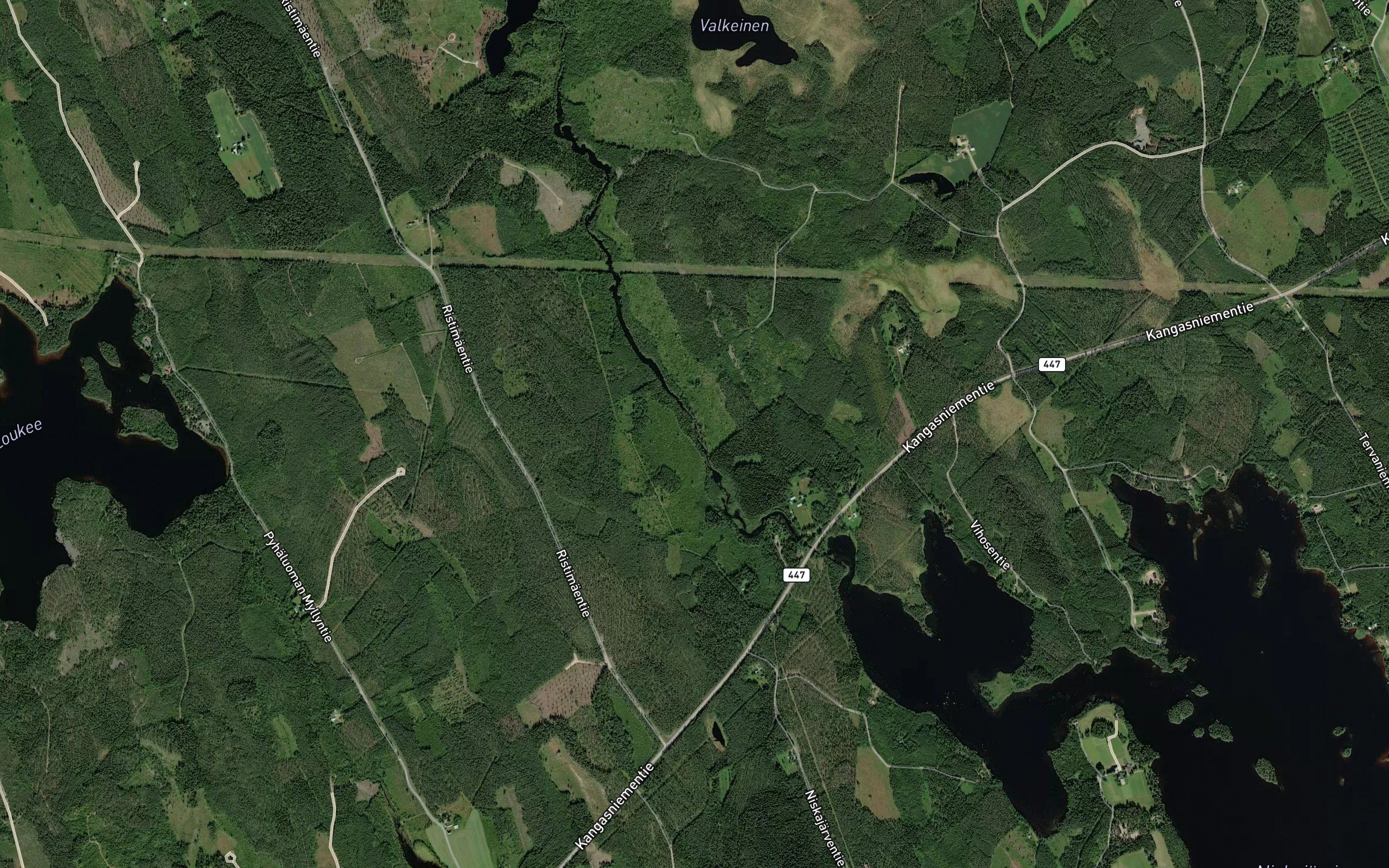 Pitkasahi