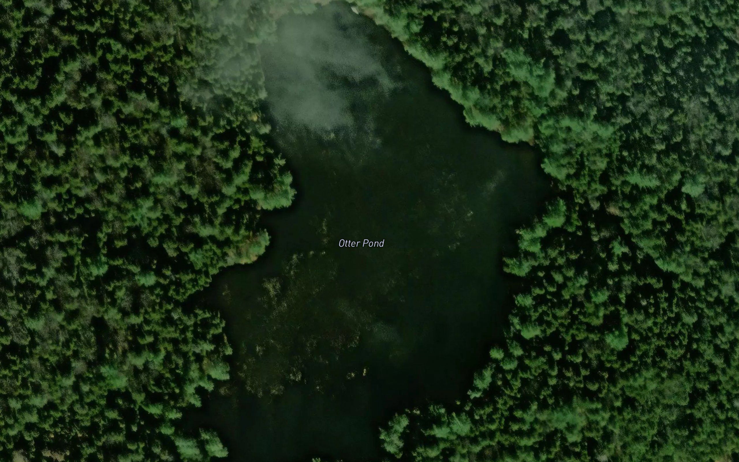Otter Pond