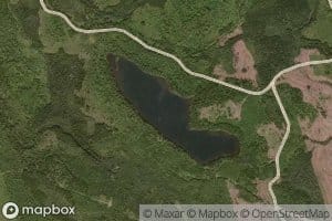 Ellen Brown Lake