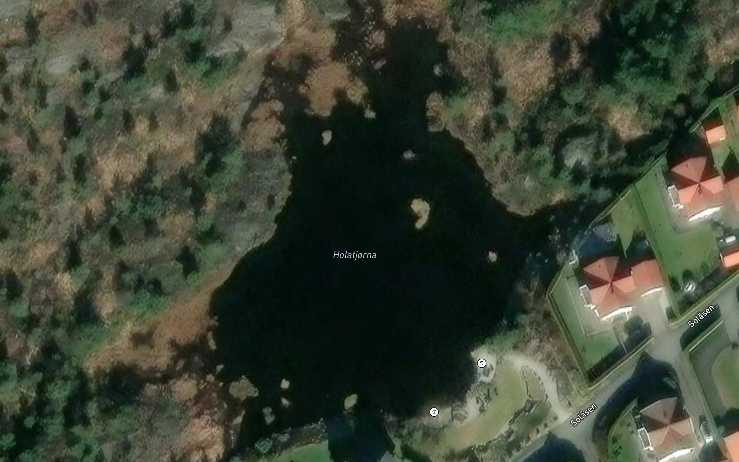 Holatjorna