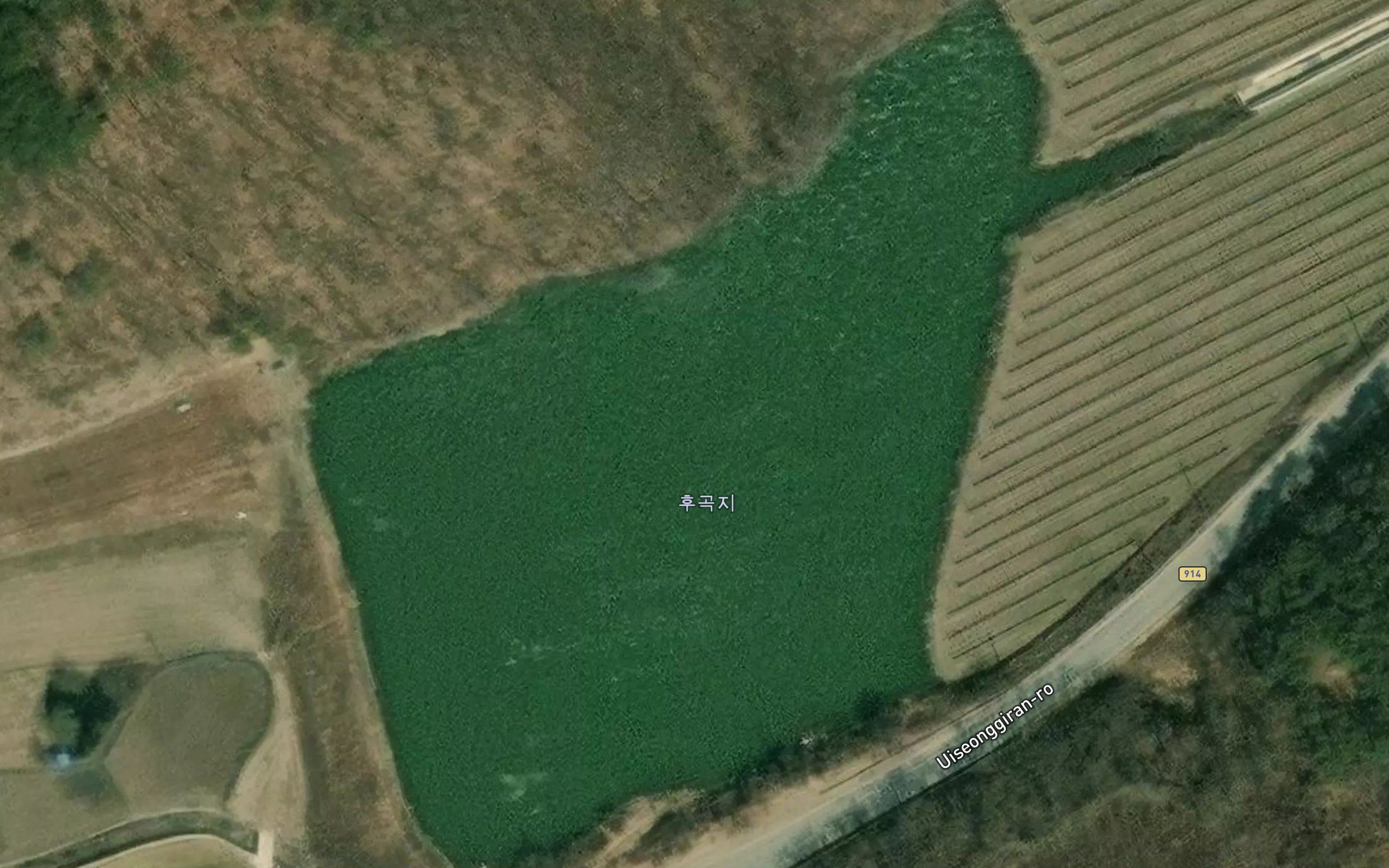 Hugok-chi
