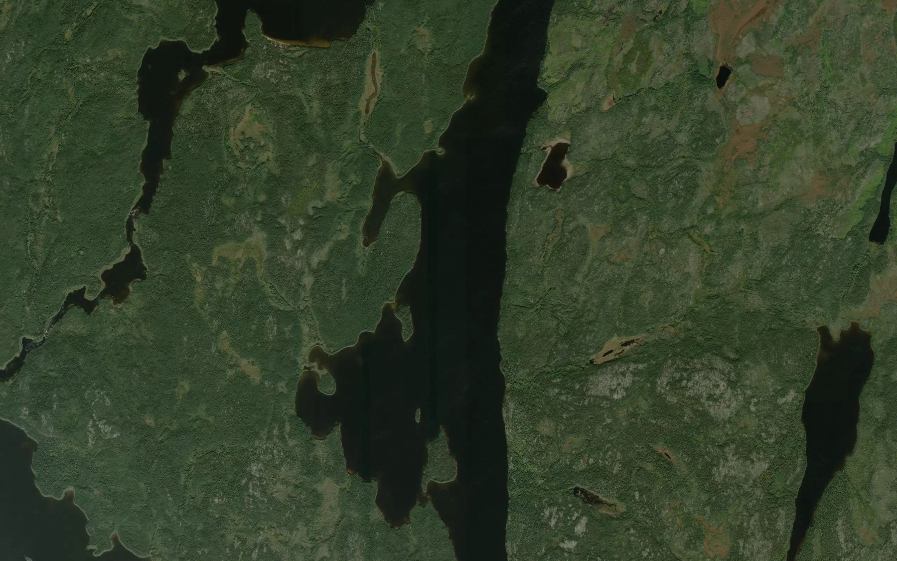 Satellite map of the Black Trout Lake