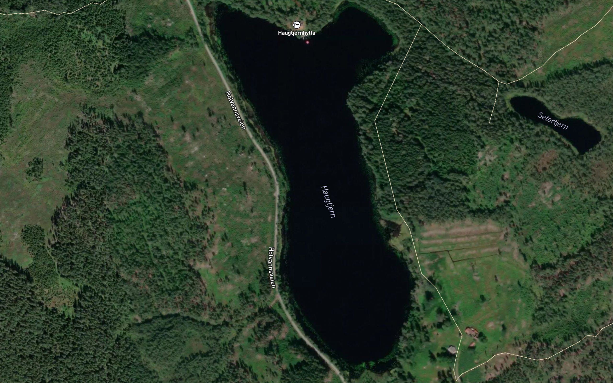 Haugtjern