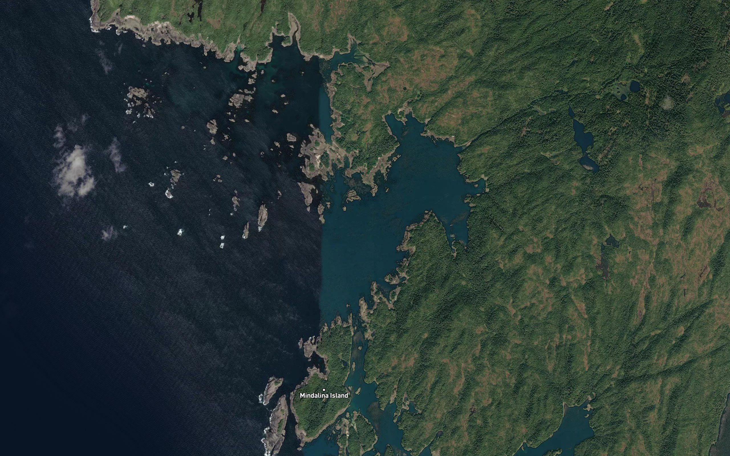 Squid Bay