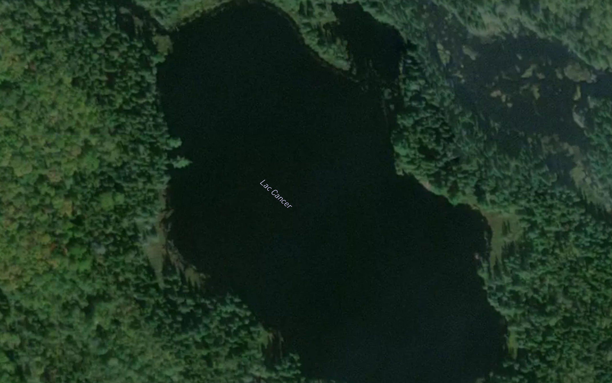 Lac Cancer