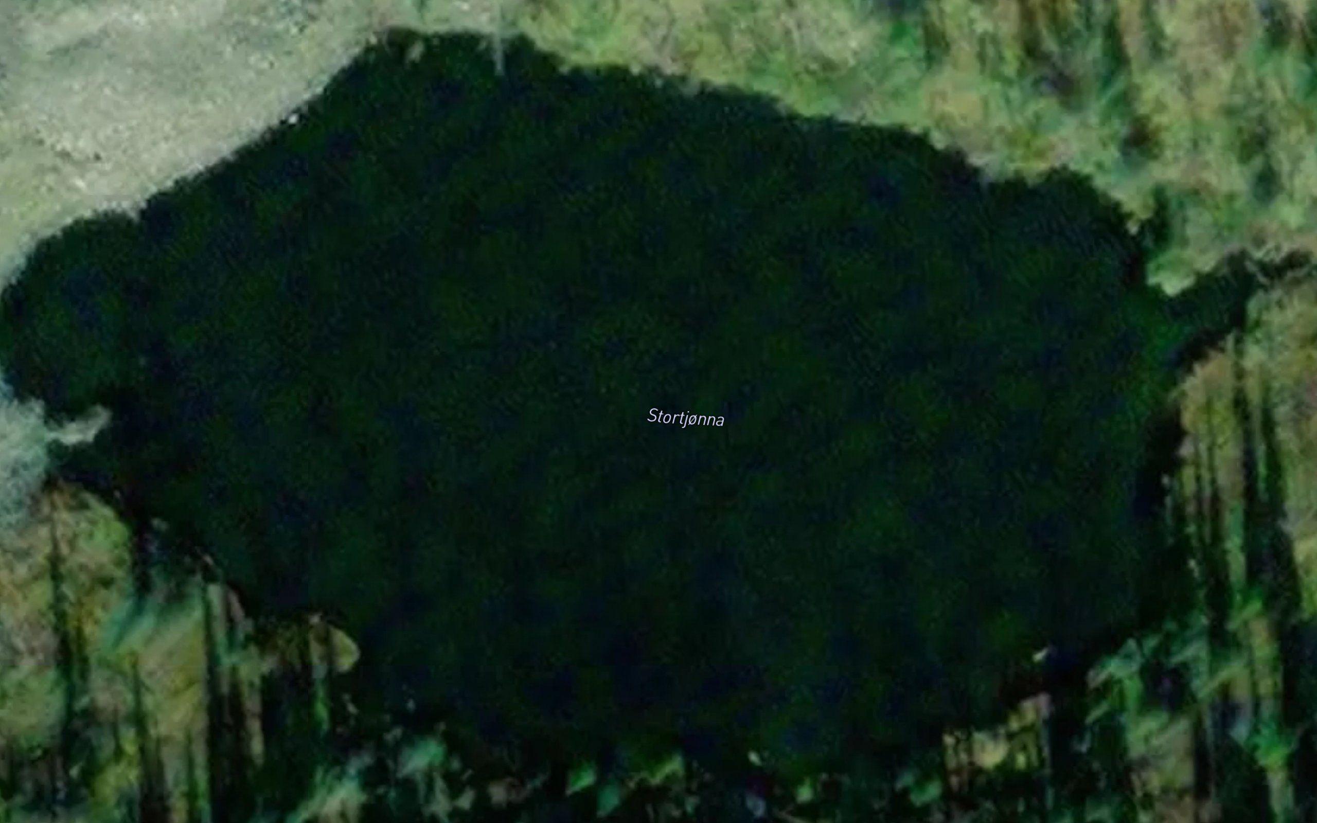 Stortjorna