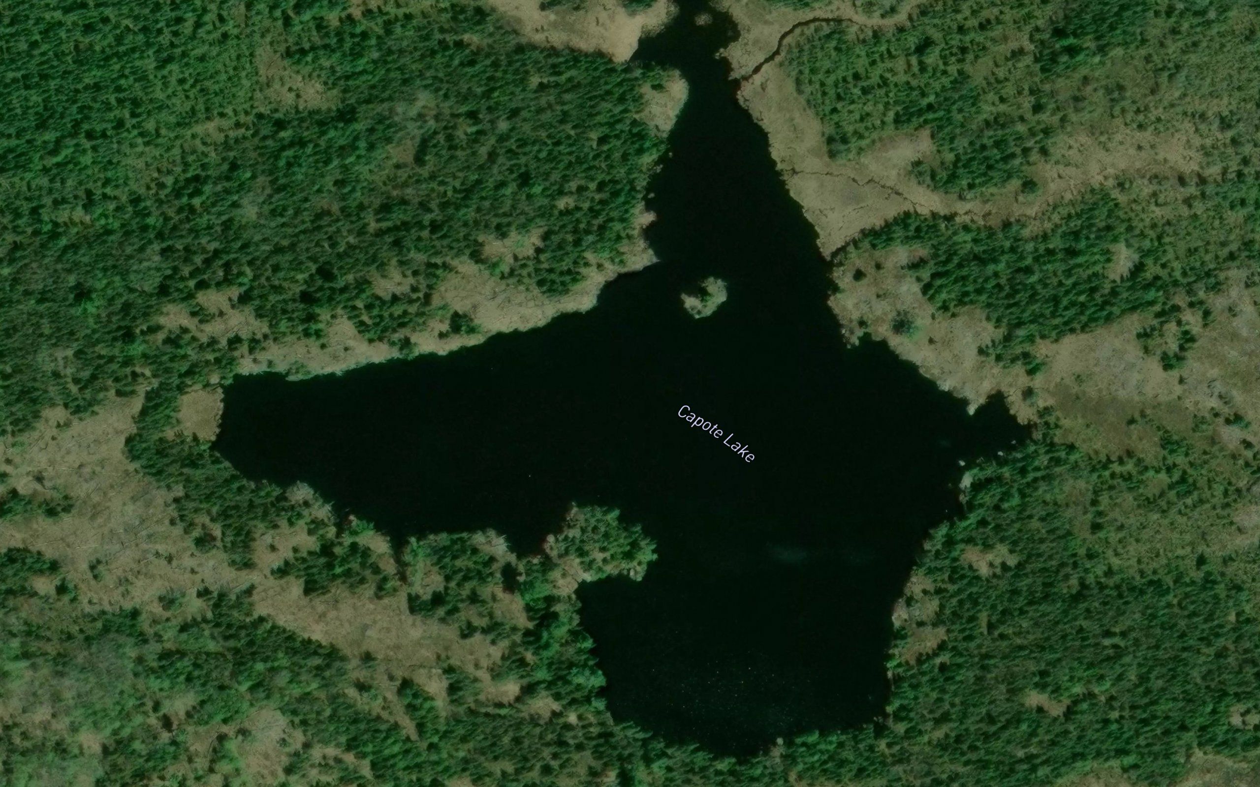 Capote Lake