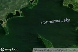 Cormorant Lake