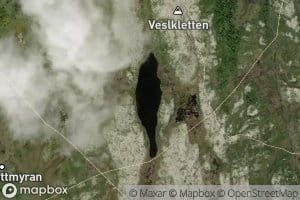 Vesleklettjonna