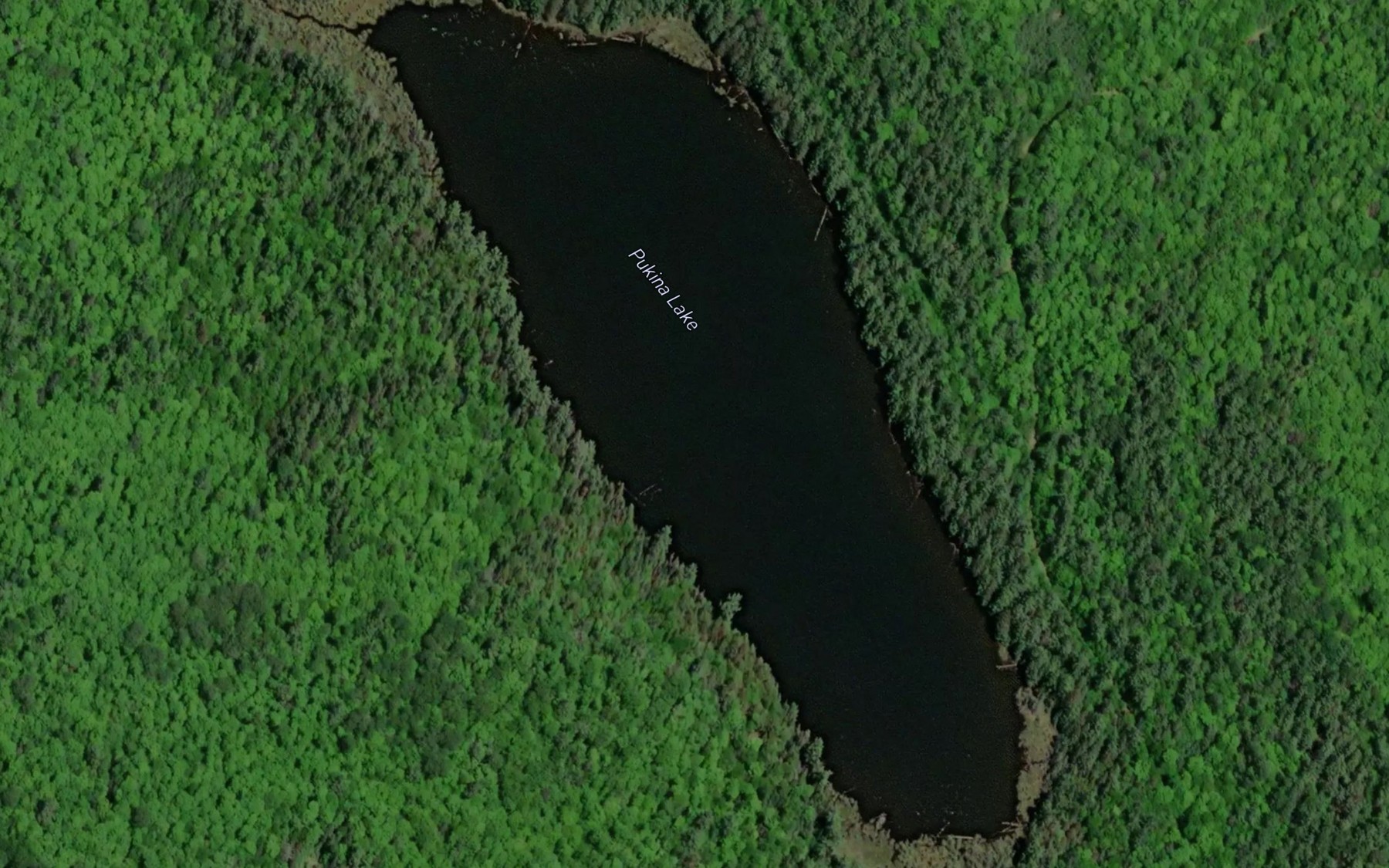 Satellite map of the Pukina Lake