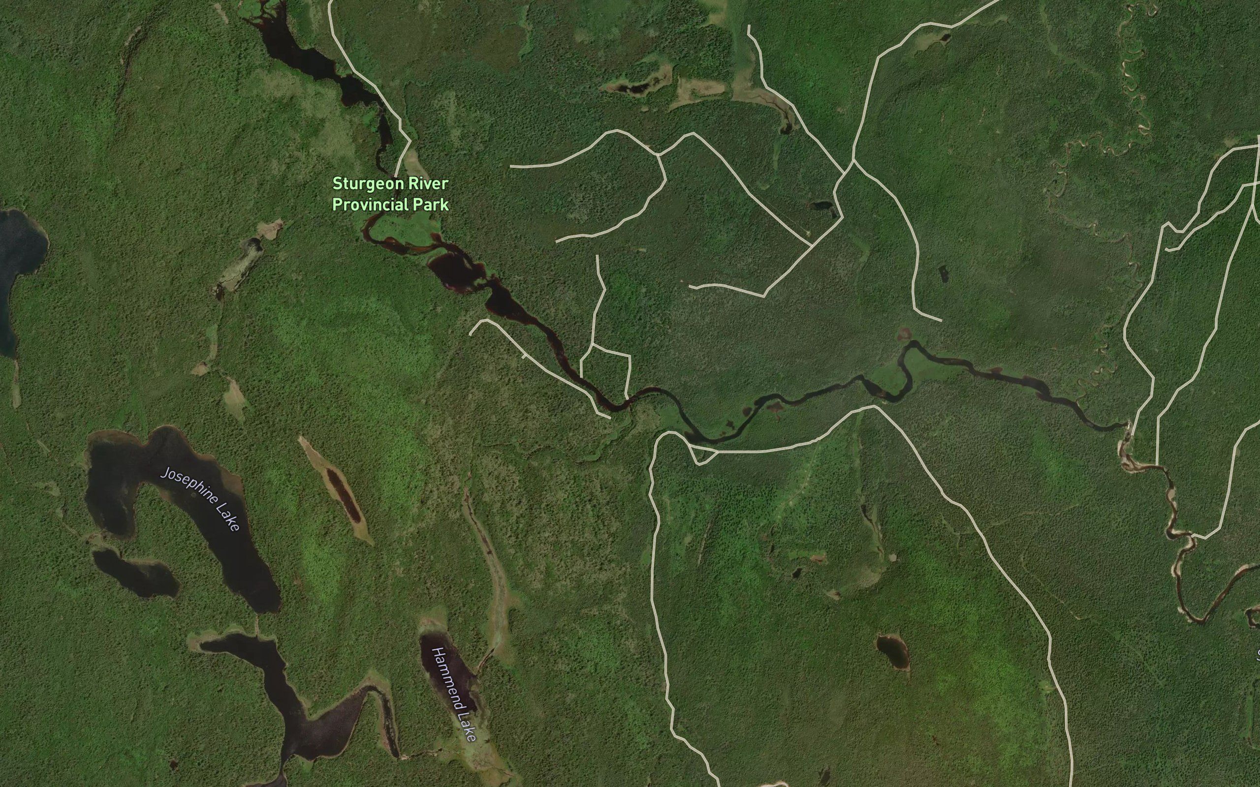 Halleck Creek