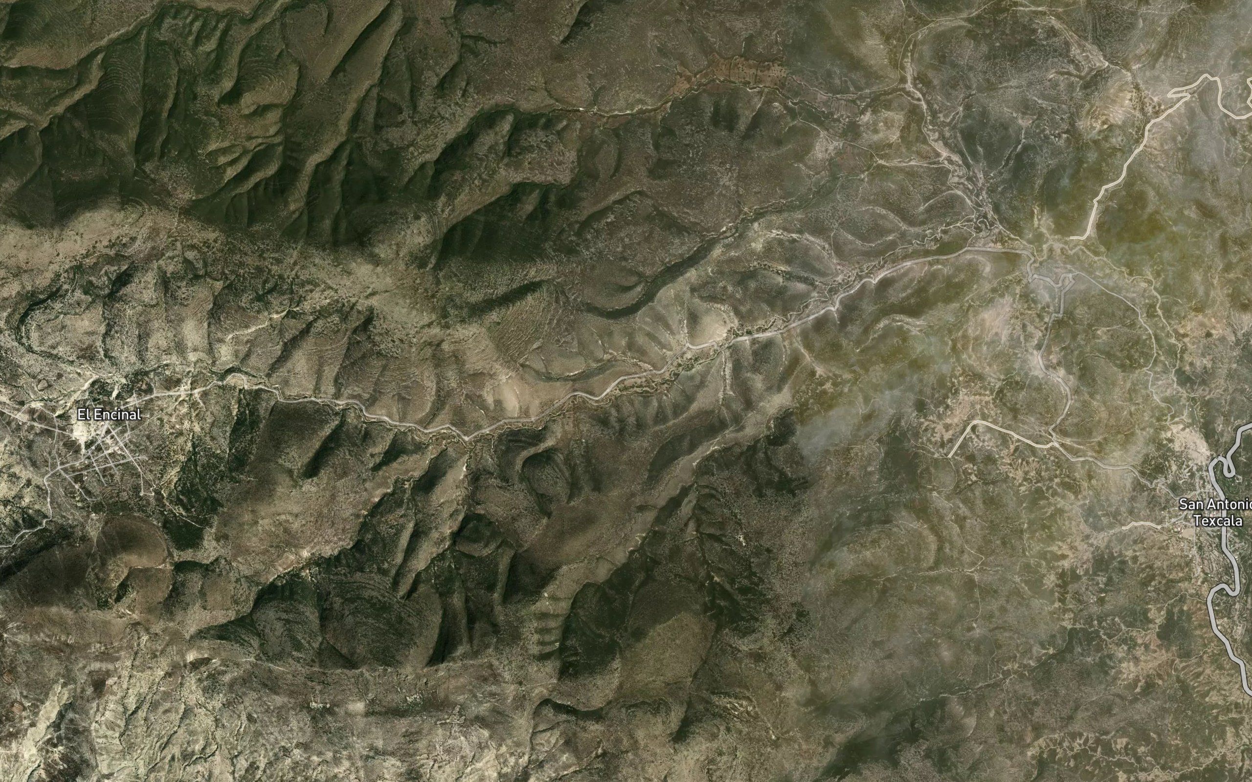 Encinal