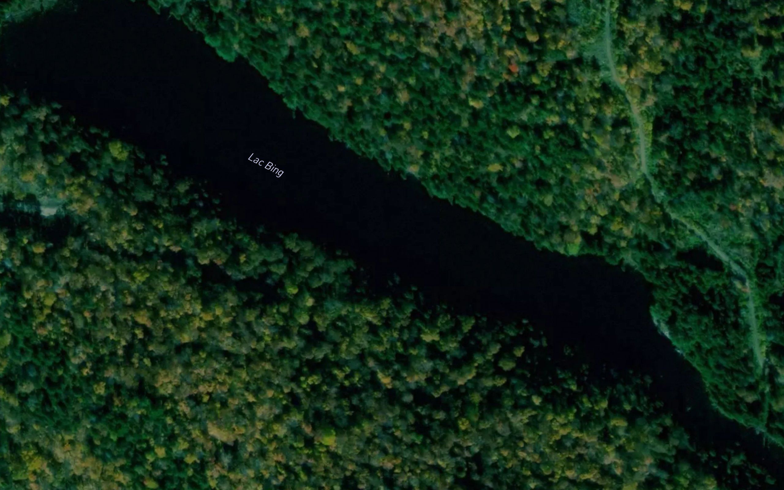 Lac Bing