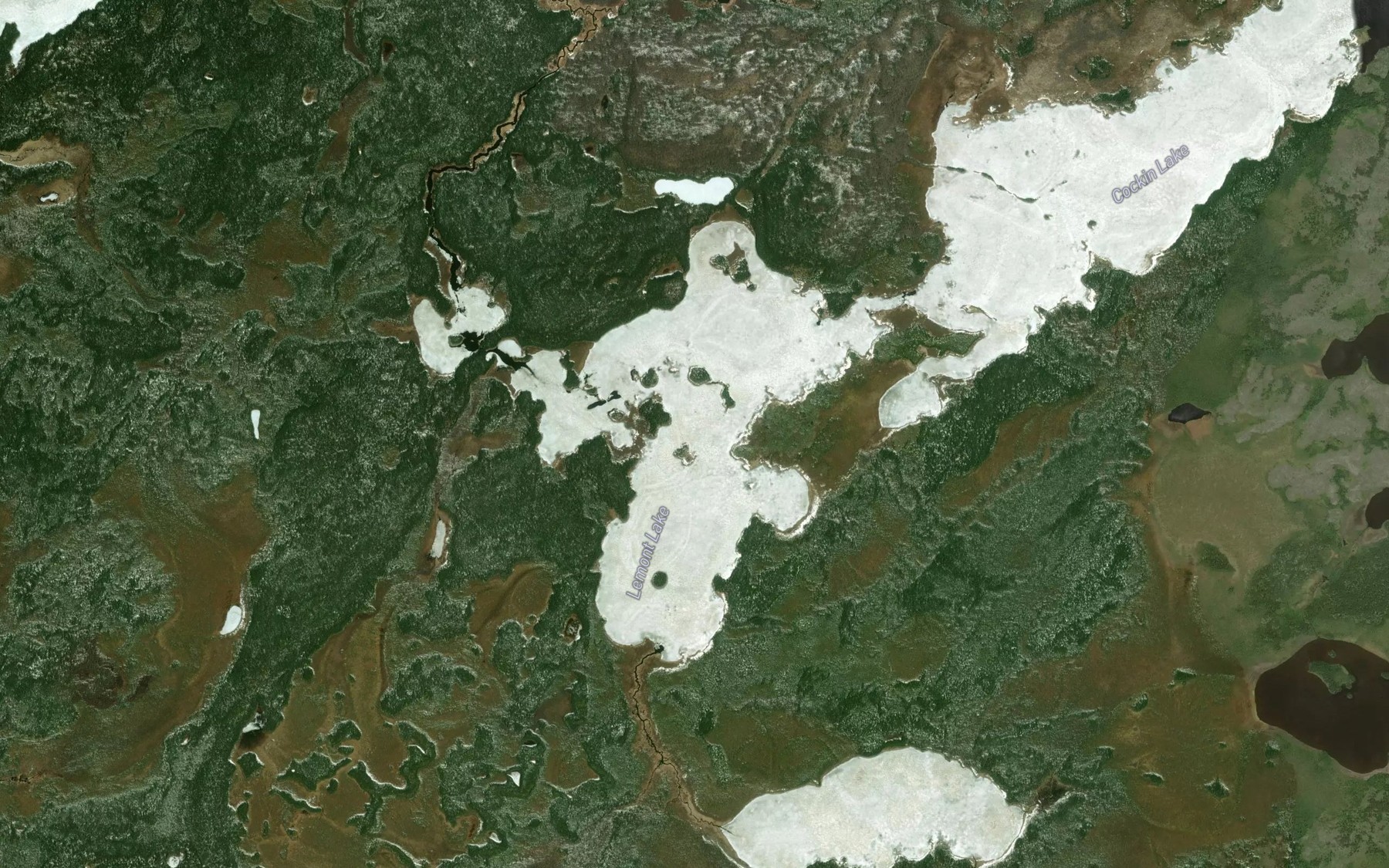 Satellite map of the Lemont Lake