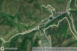 John Branch Left Catron