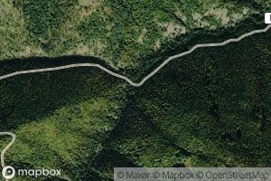 Bad Bear Creek