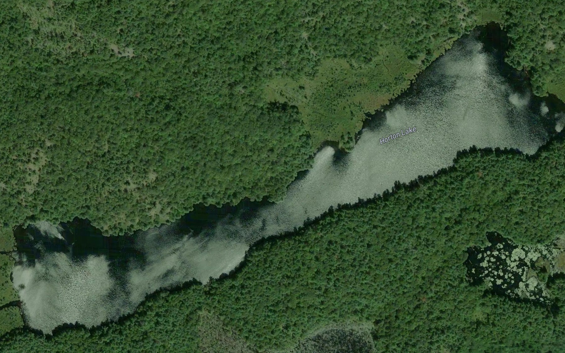 Satellite map of the Horton Lake