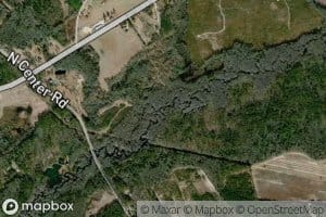 Boggy Swamp