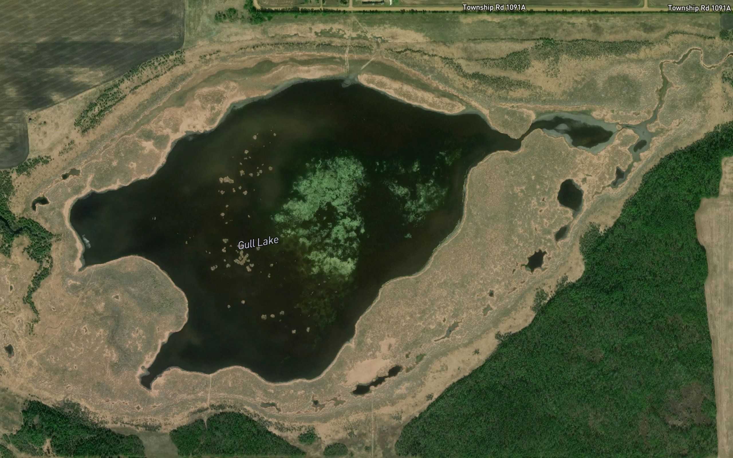 Gull Lake