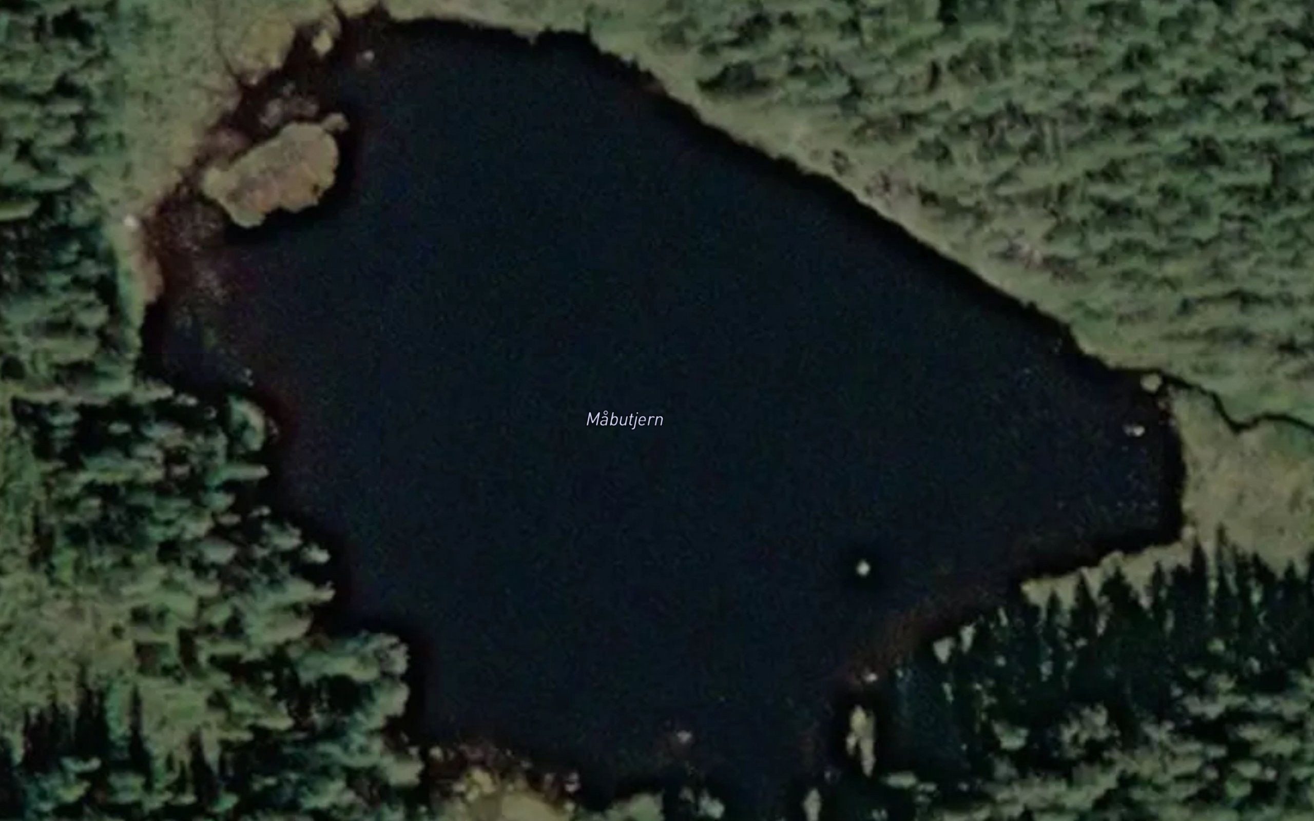 Mabutjern