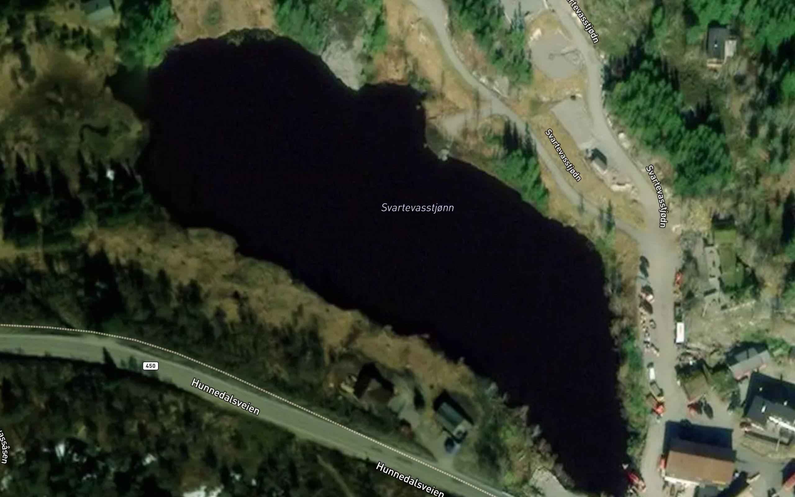 Svartevasstjonn