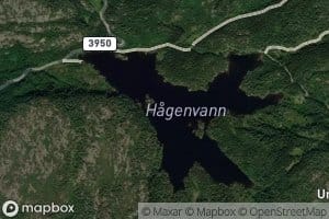Hagenvann