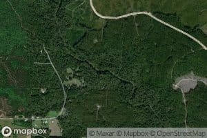 Pineland Branch