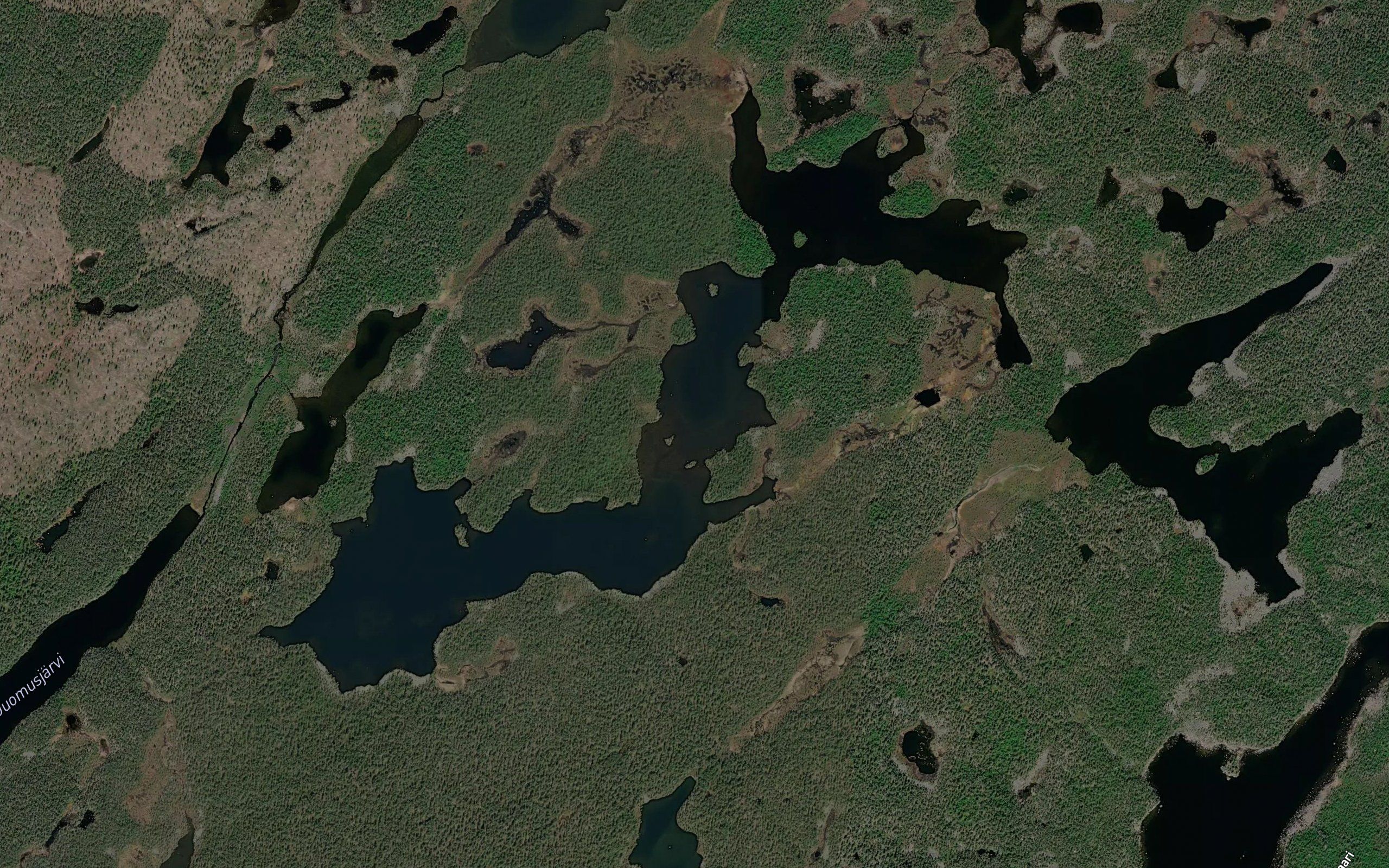 Kalsoppijarvi