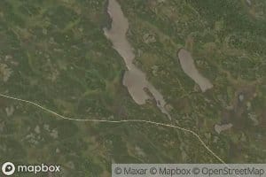 Reinetjednet
