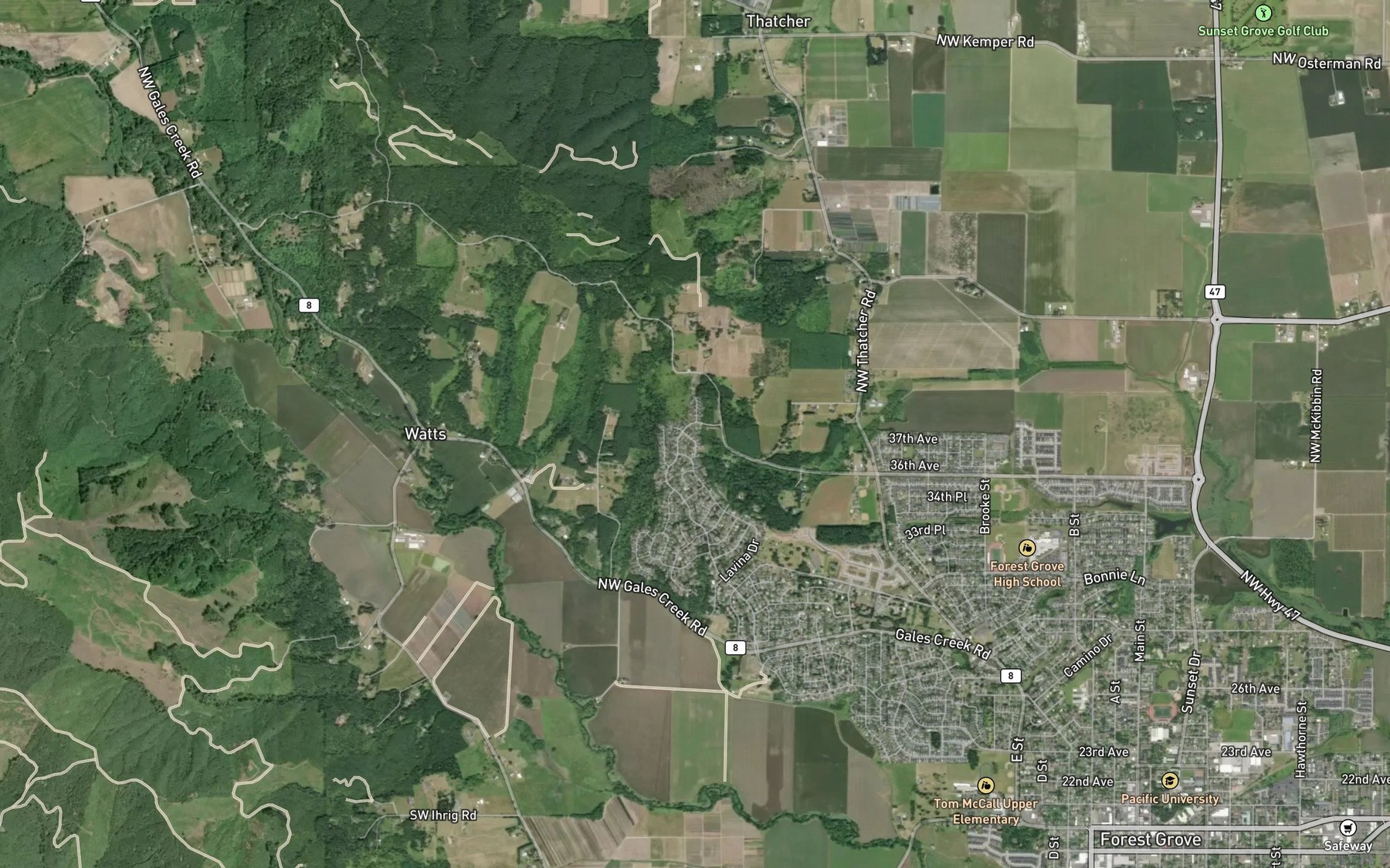 Satellite map of the Feathered Friend Pond