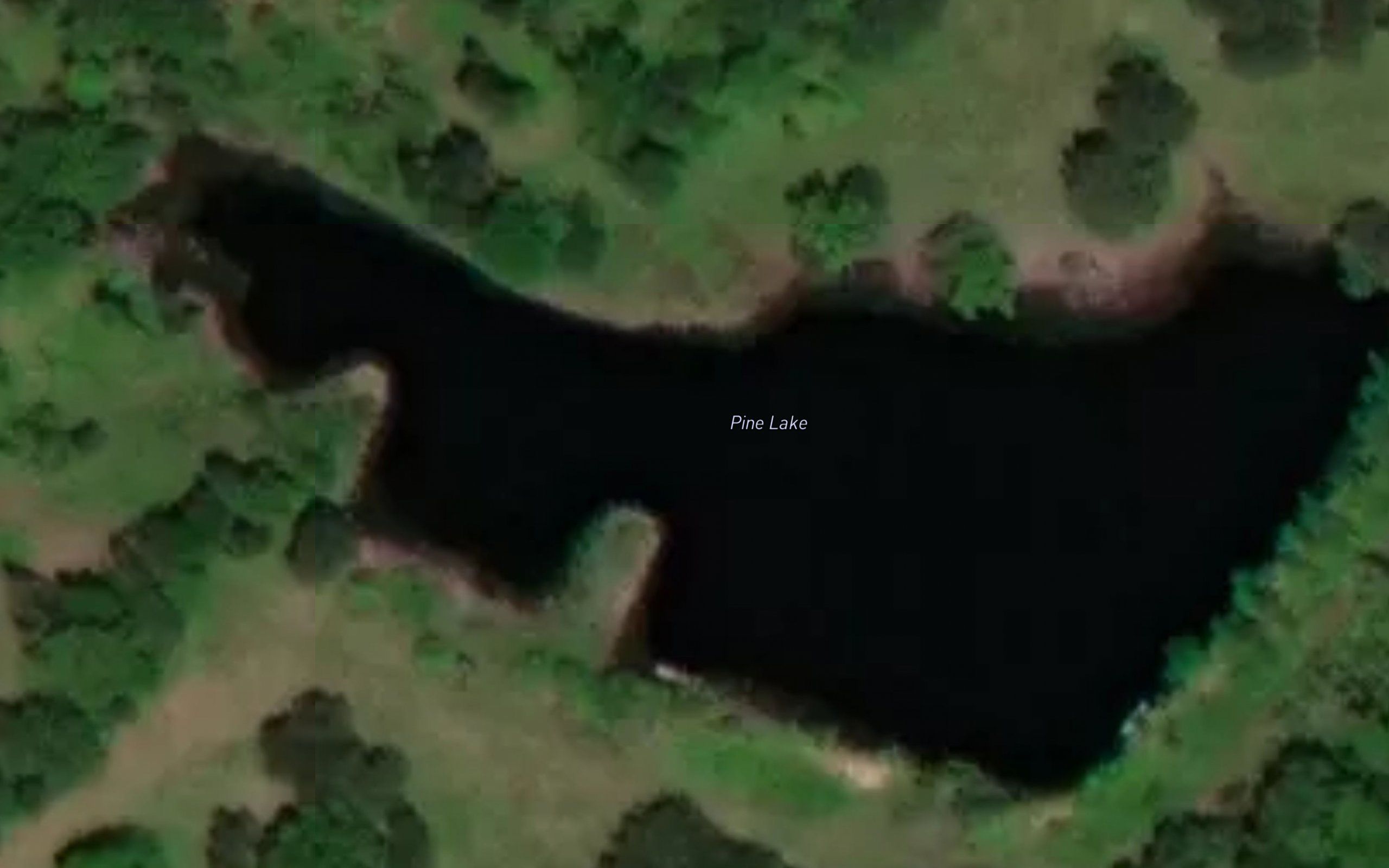 Pine Lake