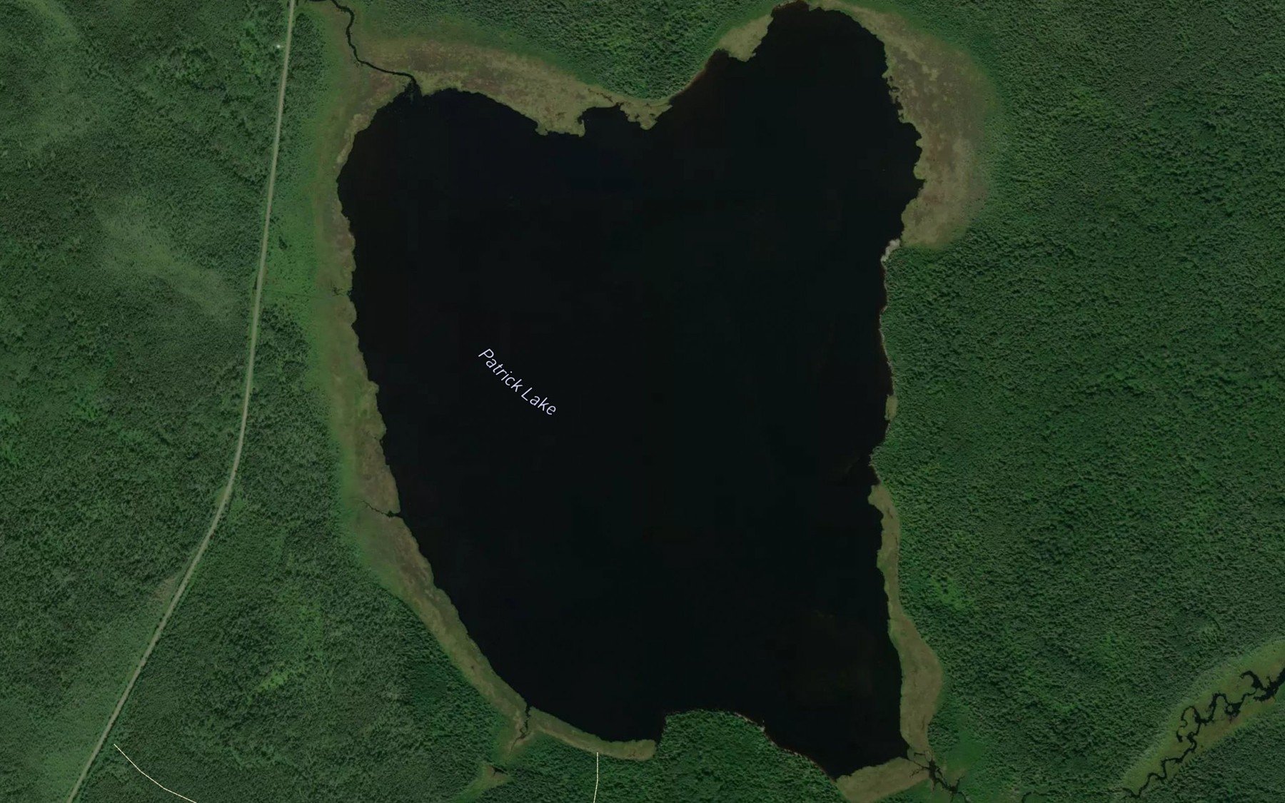 Satellite map of the Patrick Lake