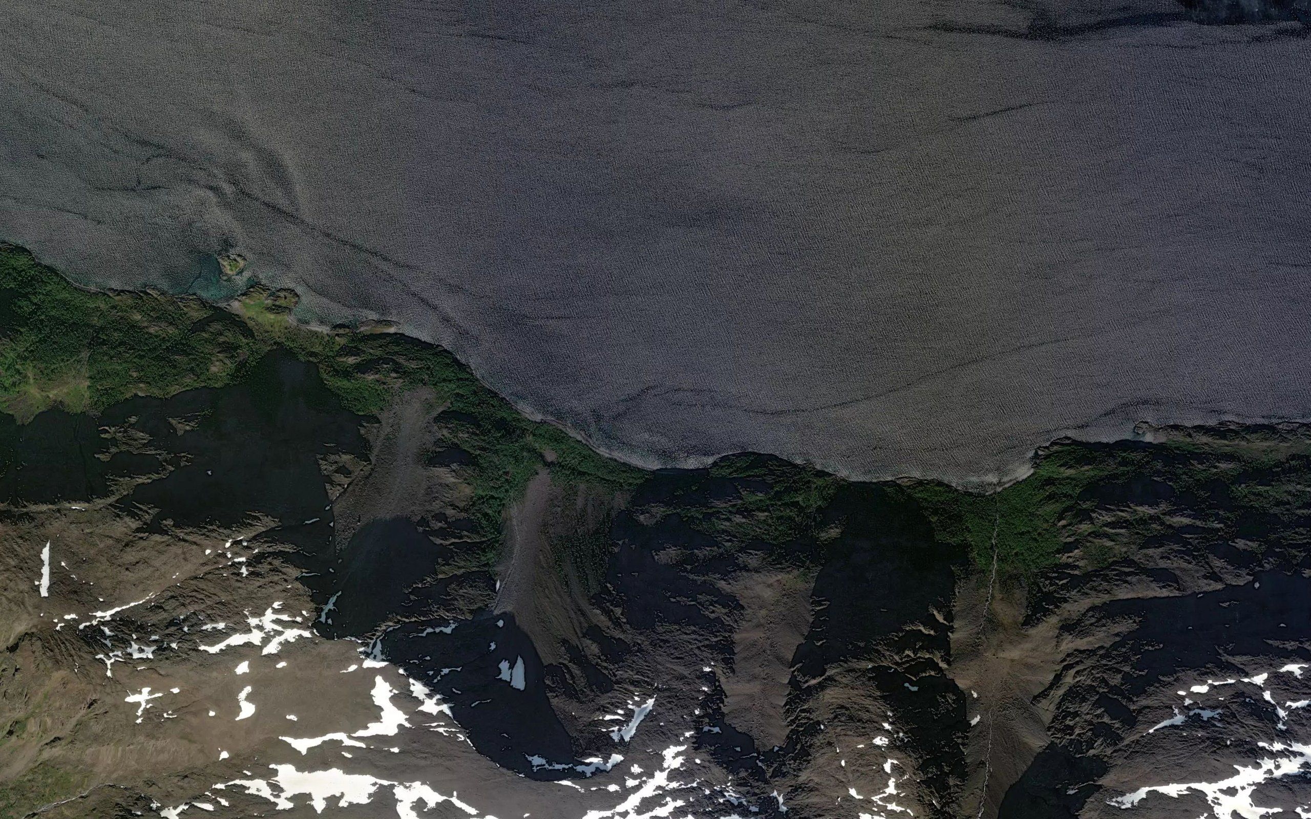 Kobbevika