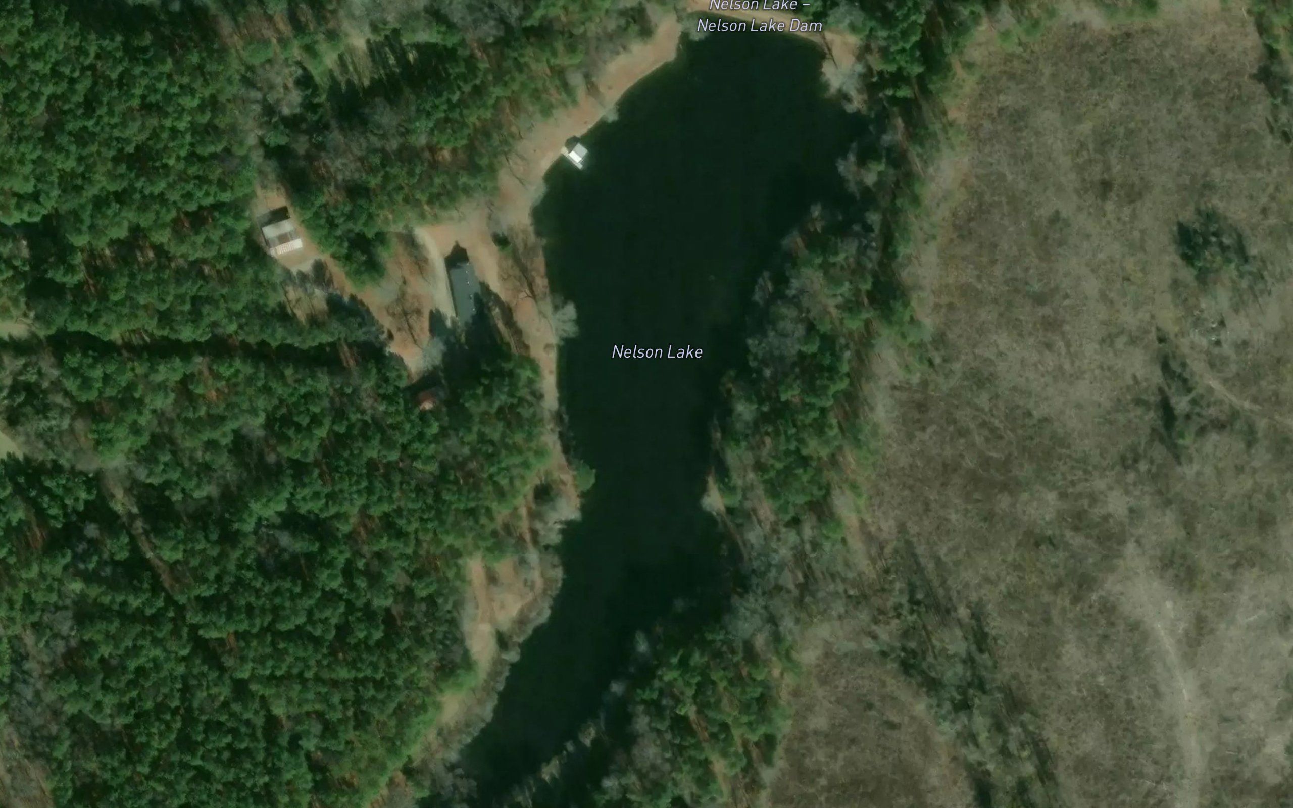Nelson Lake