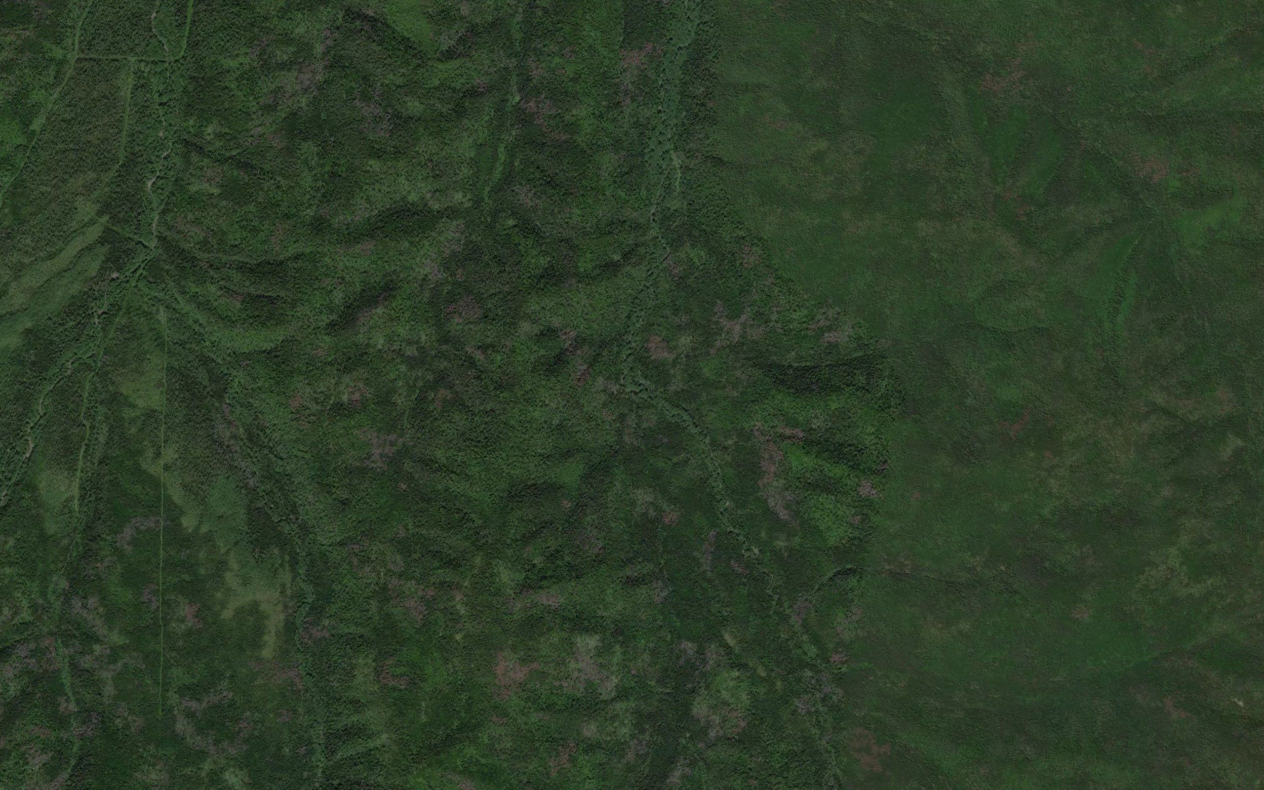 Gutsul