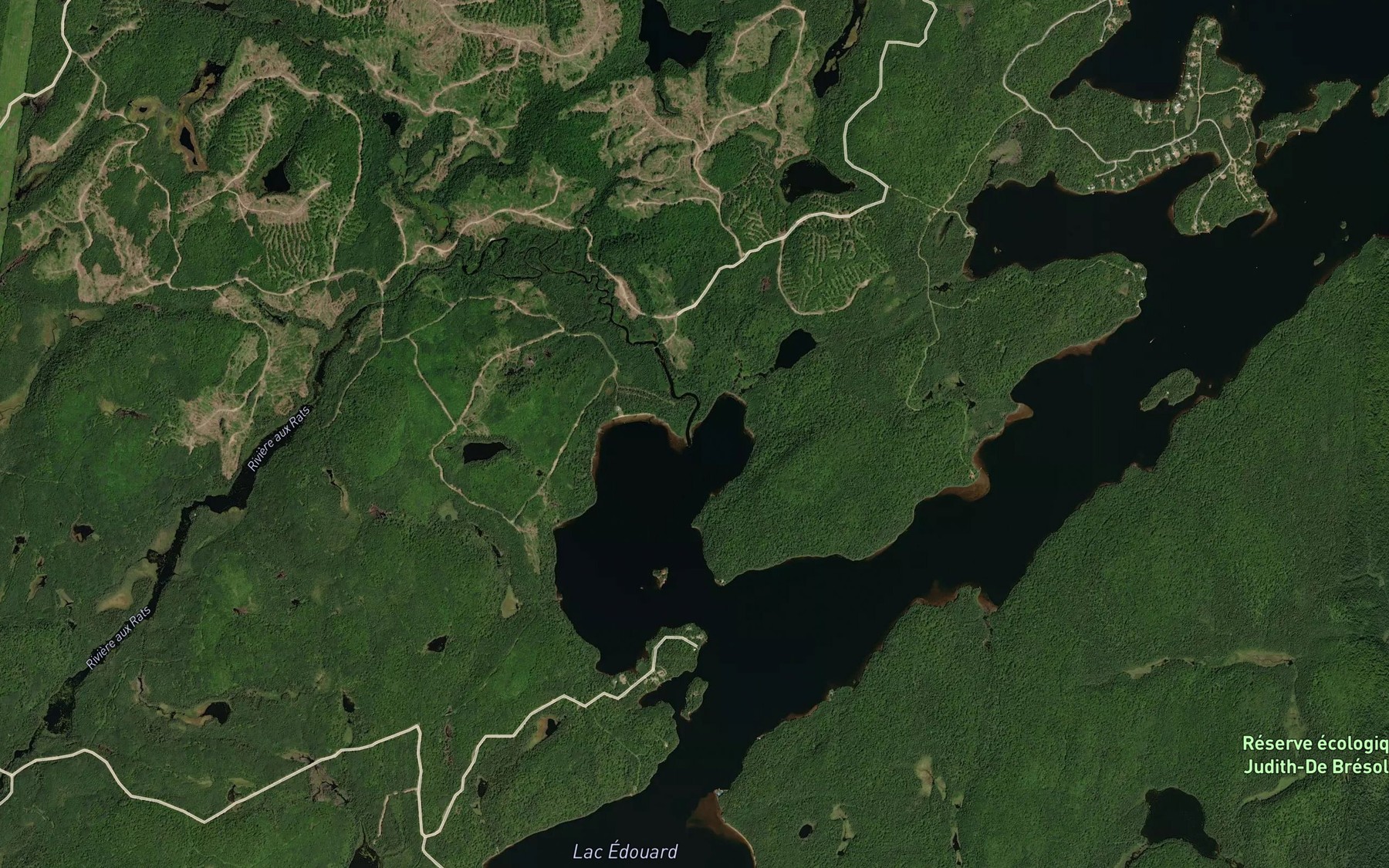 Satellite map of the Riviere aux Rats