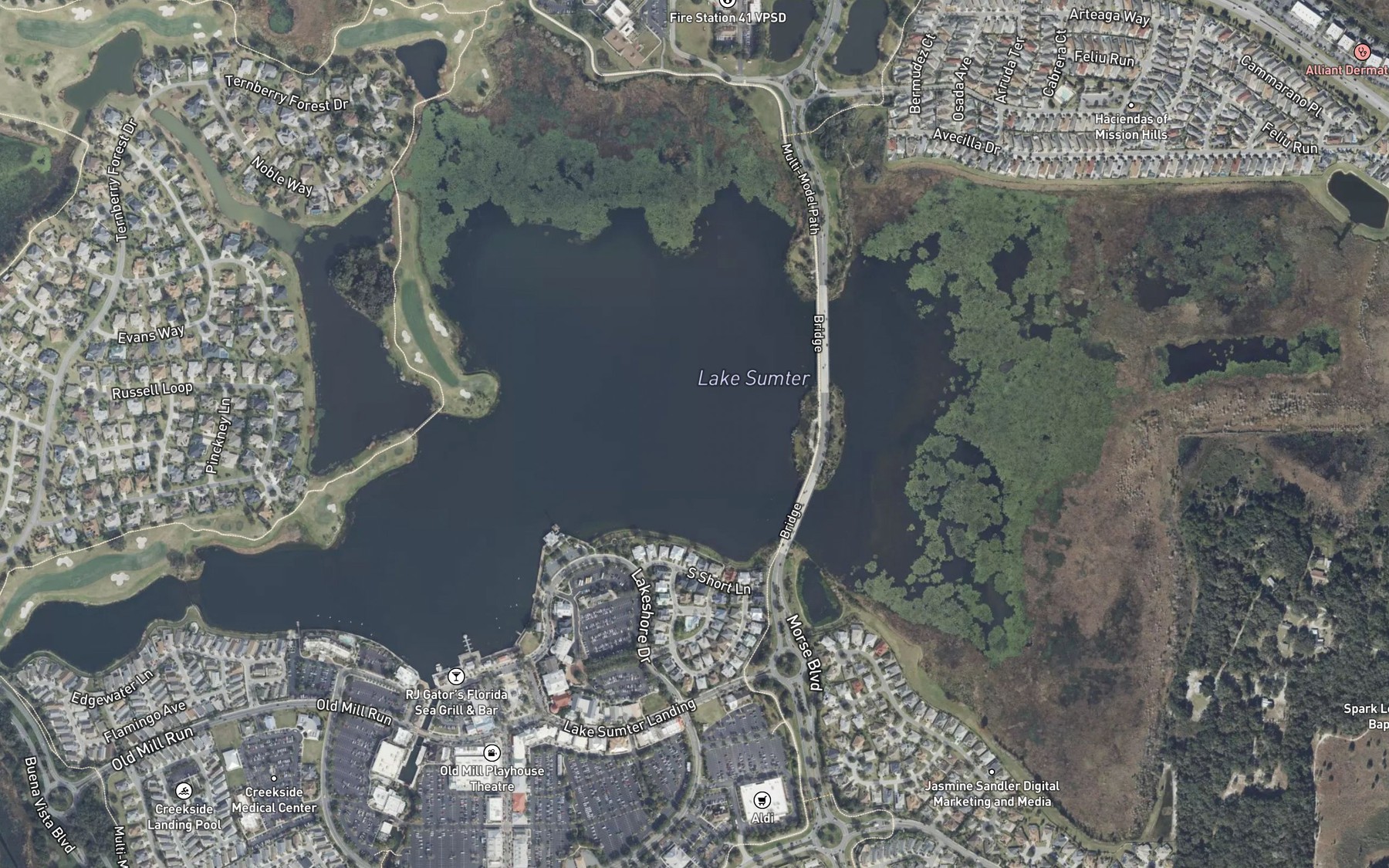 Satellite map of the Cherry Lake