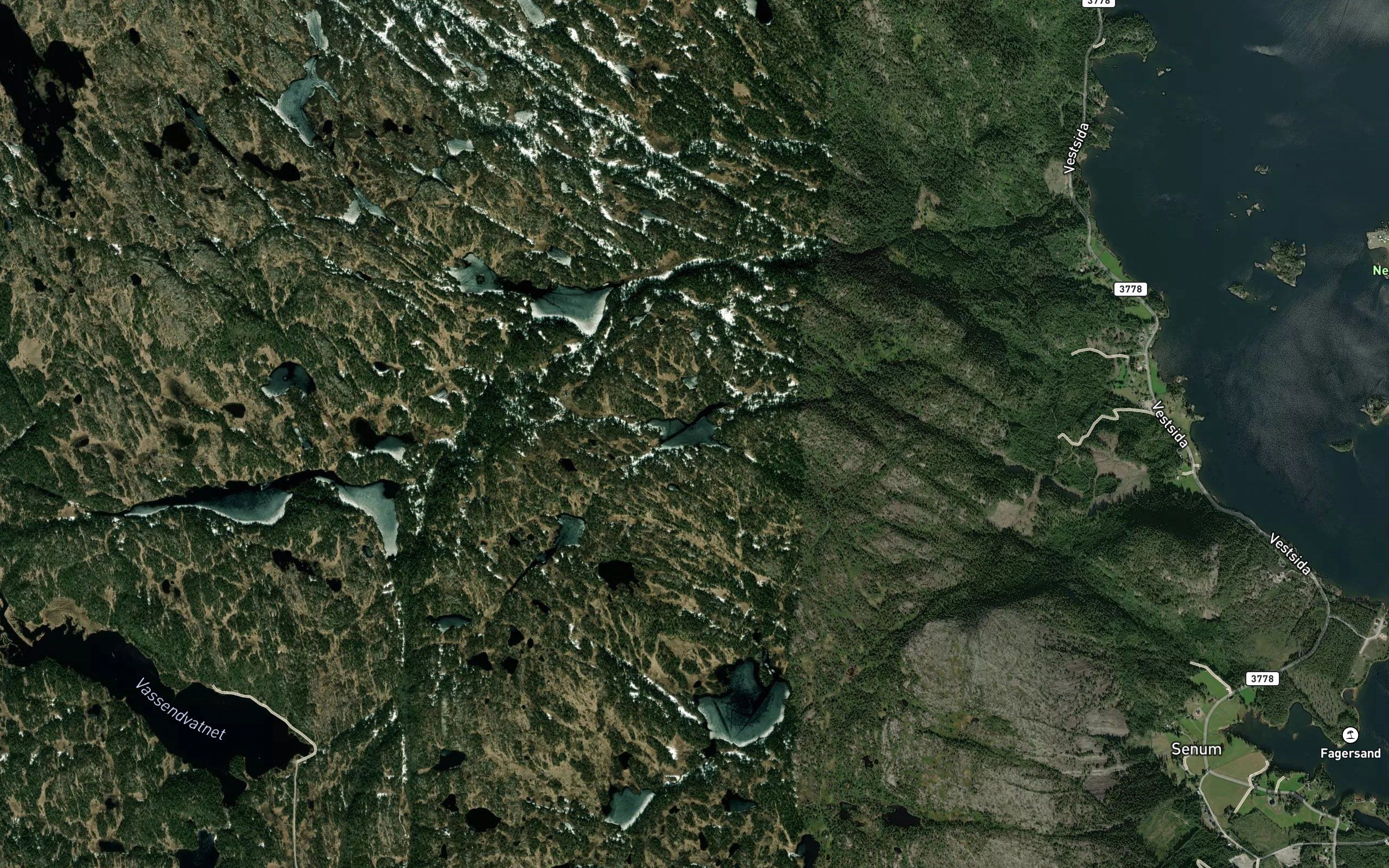 Ulstjorni