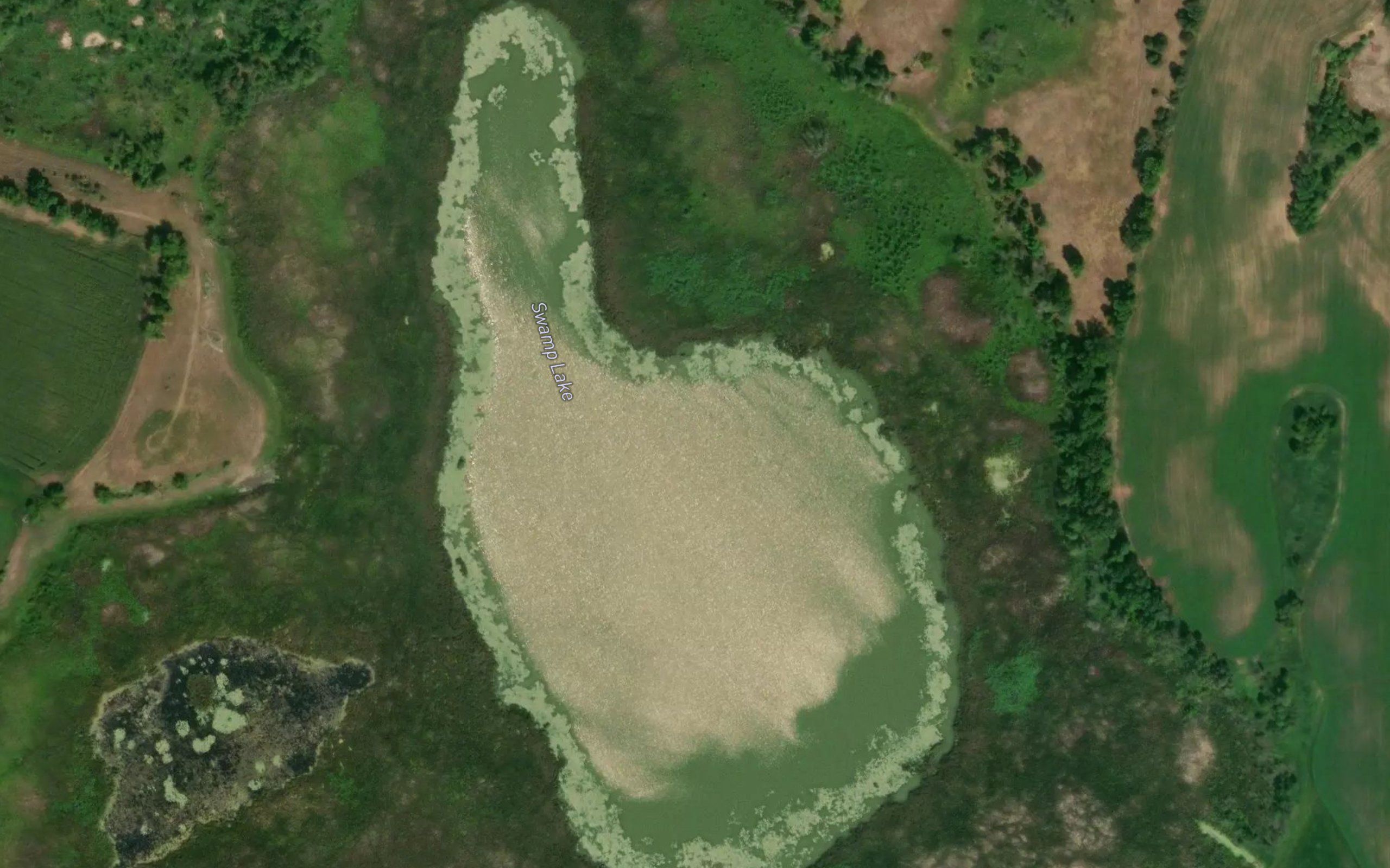 Swamp Lake