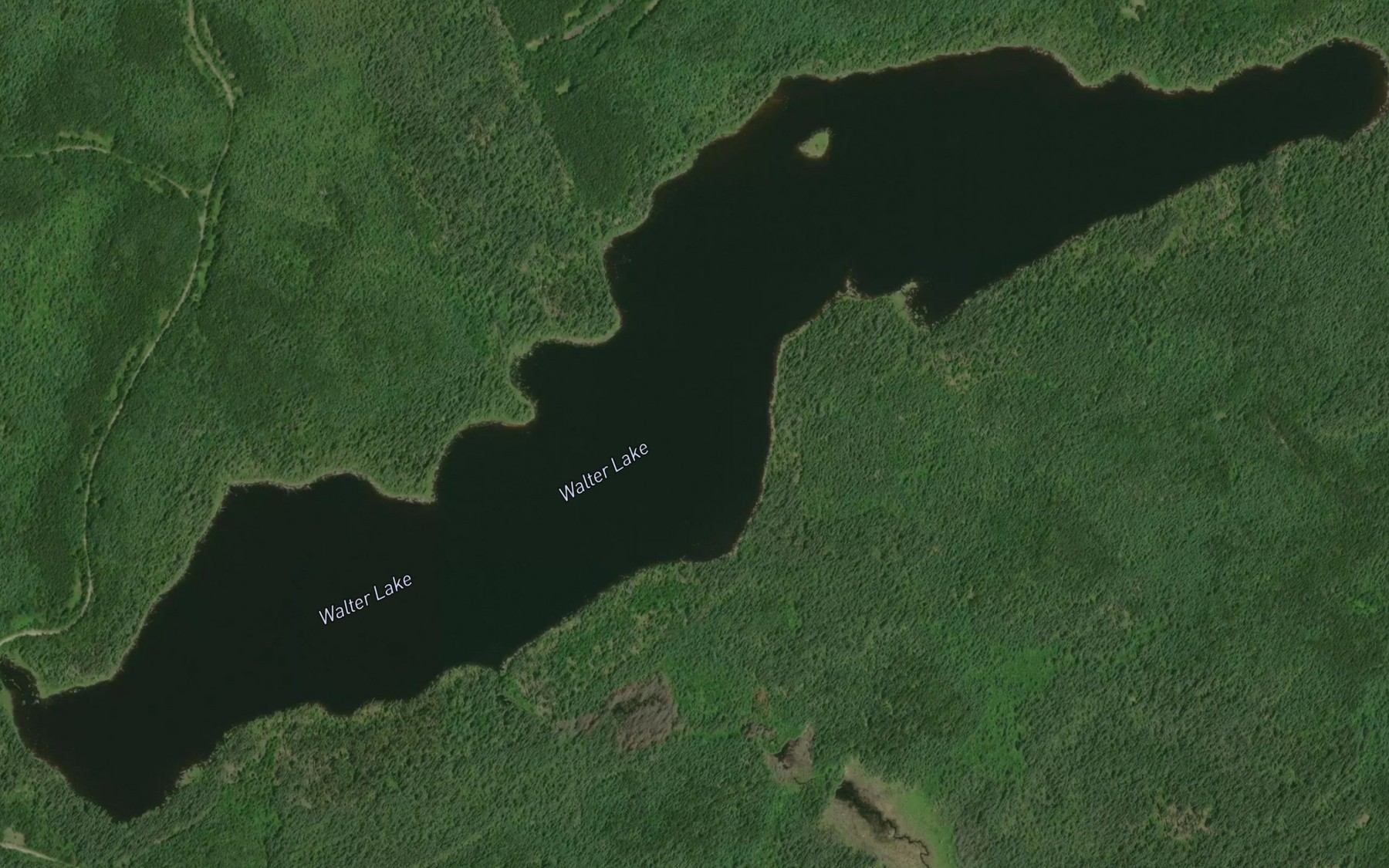 Satellite map of the Walter Lake