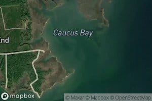 Caucus Bay