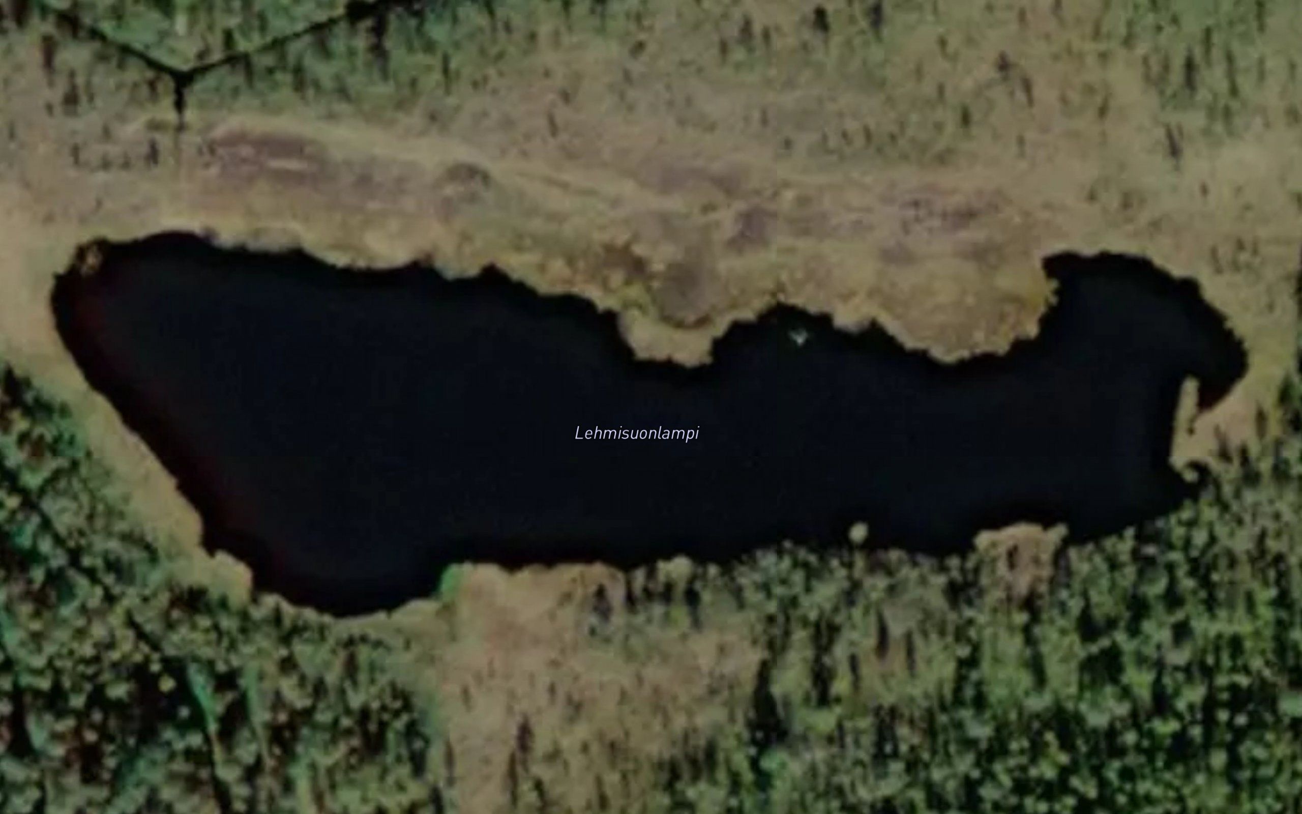 Lehmisuonlampi